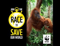 Fund Cosmos racing and help WFF campaign photo, 4 of 8