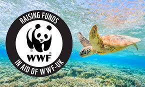 Fund Cosmos racing and help WFF campaign photo, 2 of 8