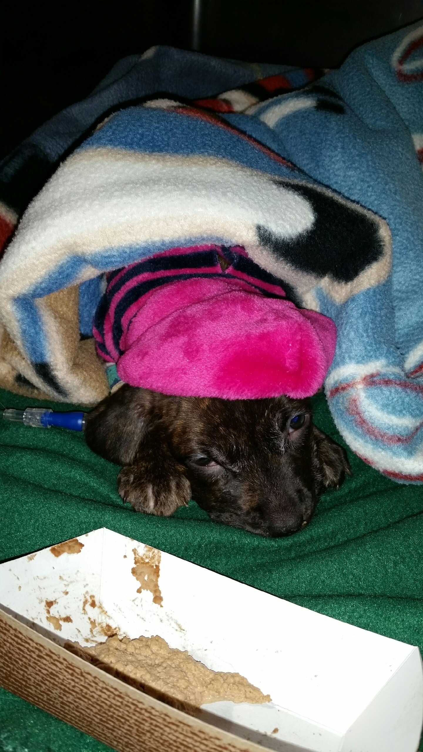 Bianca's surgery campaign photo, 2 of 8