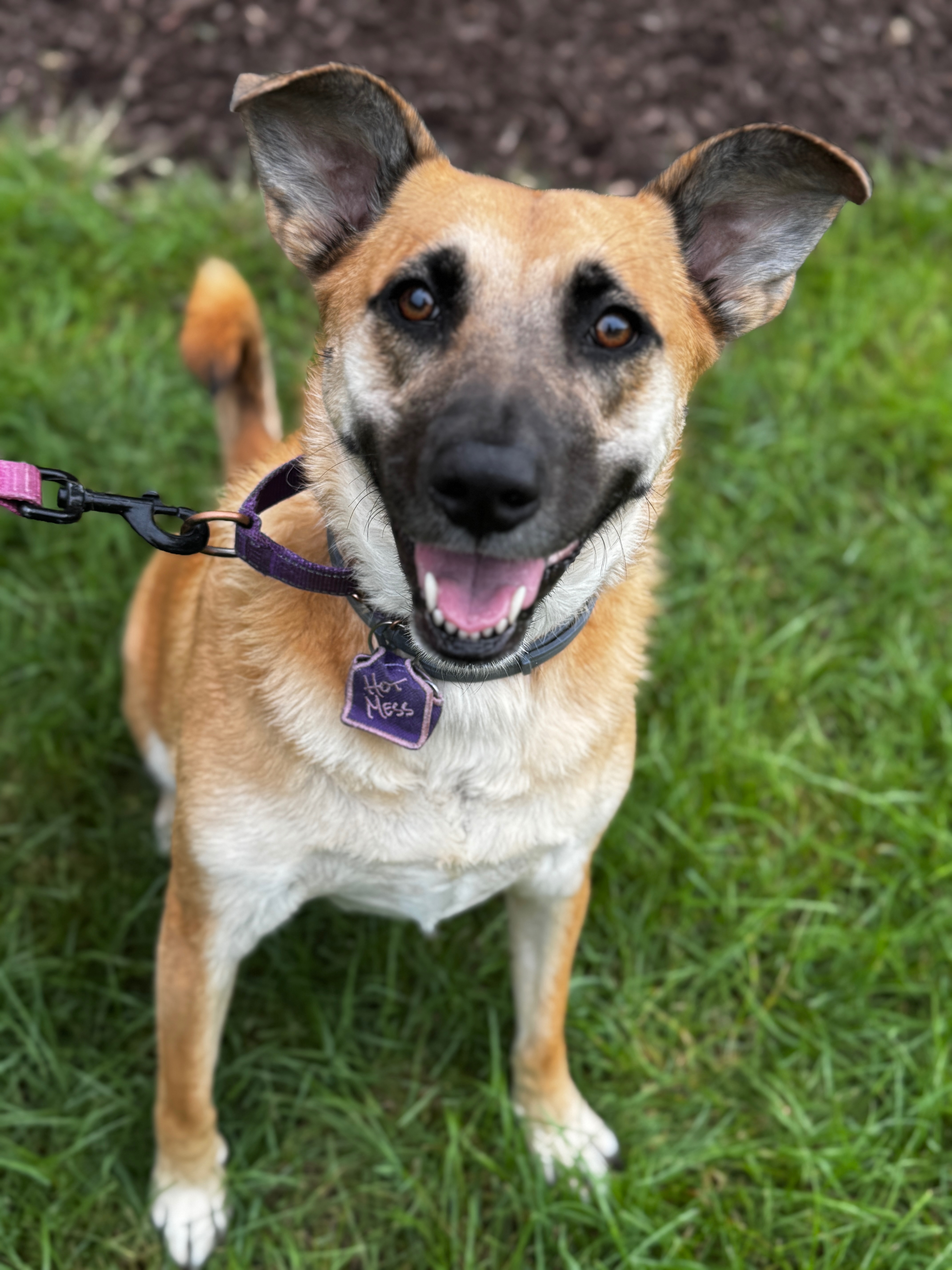 Help Laney get surgery campaign photo, 5 of 6