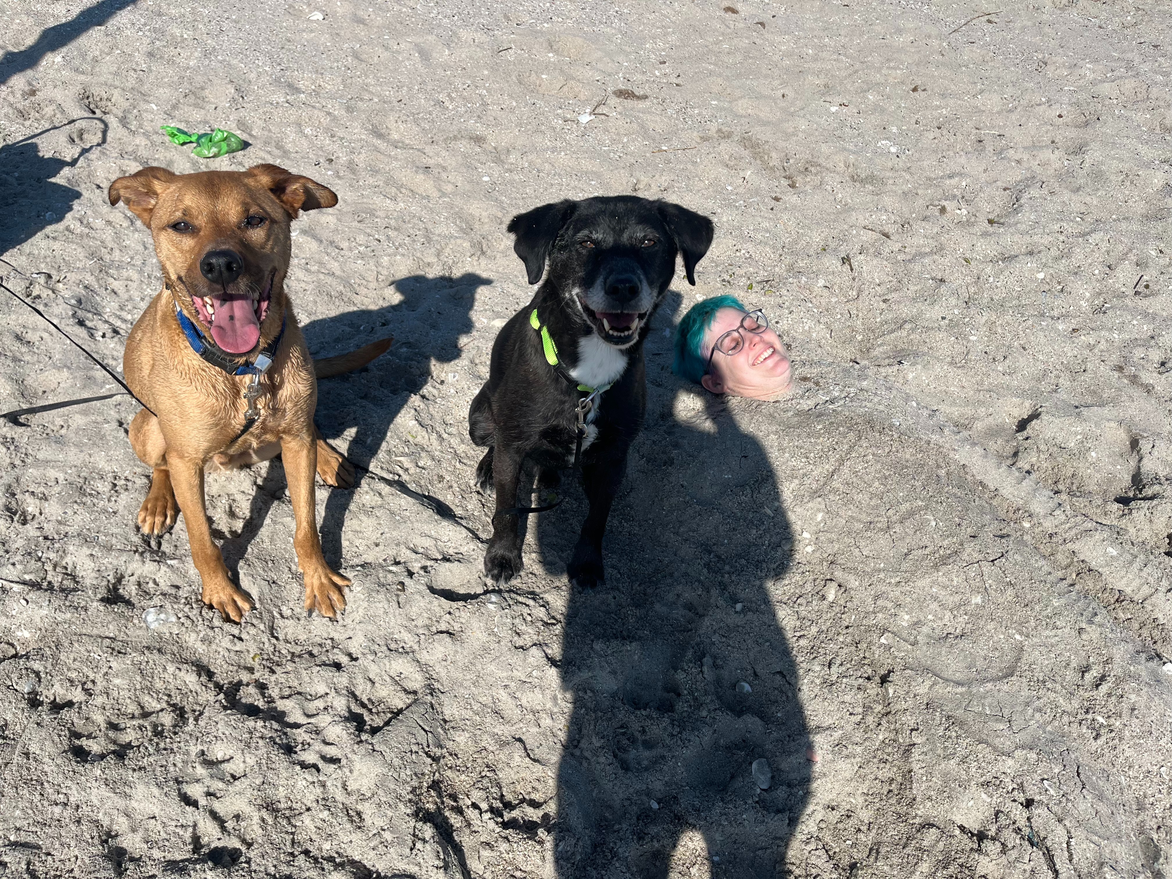 Tragedy Has Struck Our Pack - Help Us Fight for Jett campaign photo, 6 of 8