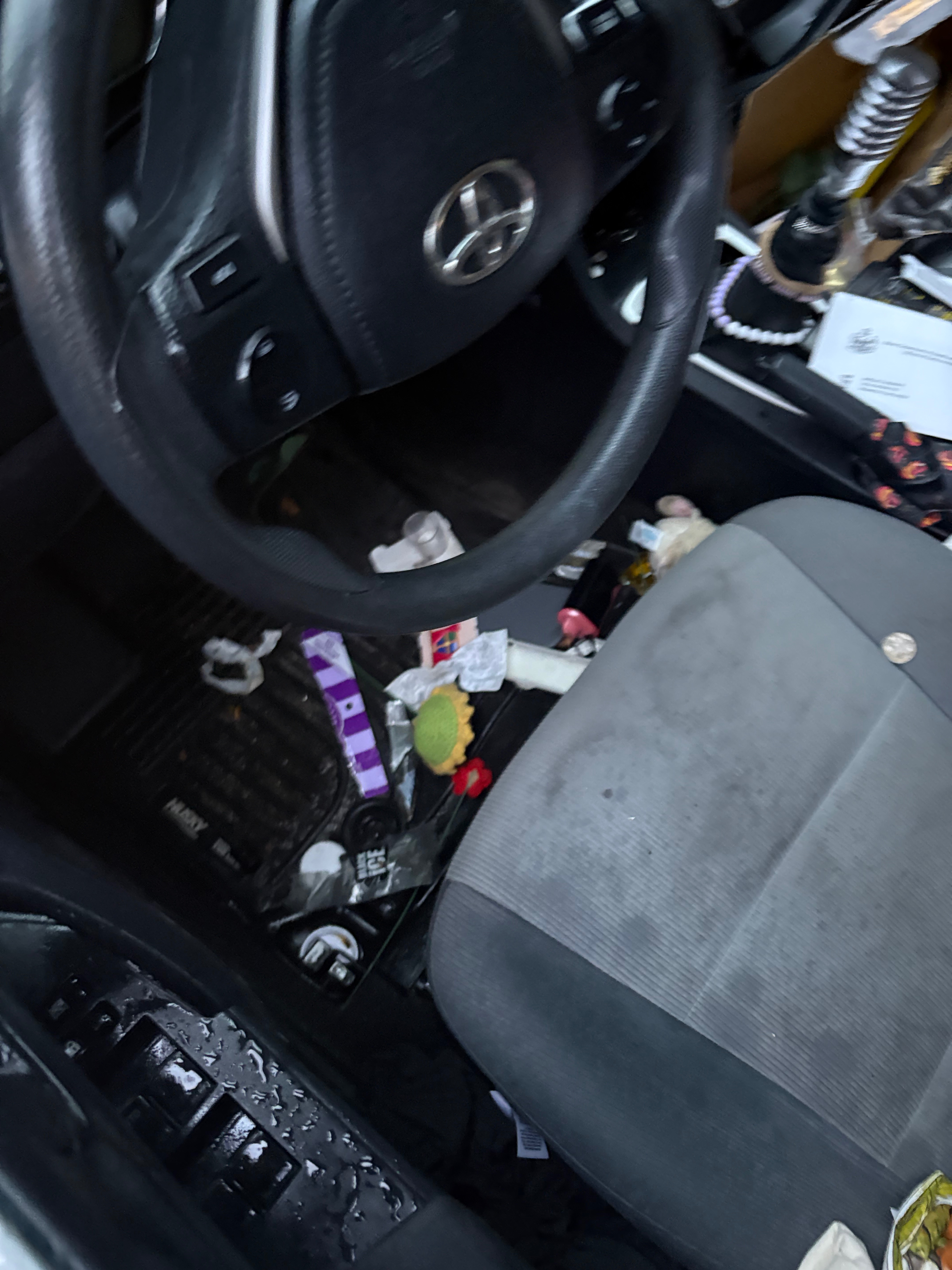 Help Amelia Recover from Car Theft and Loss campaign photo, 2 of 6