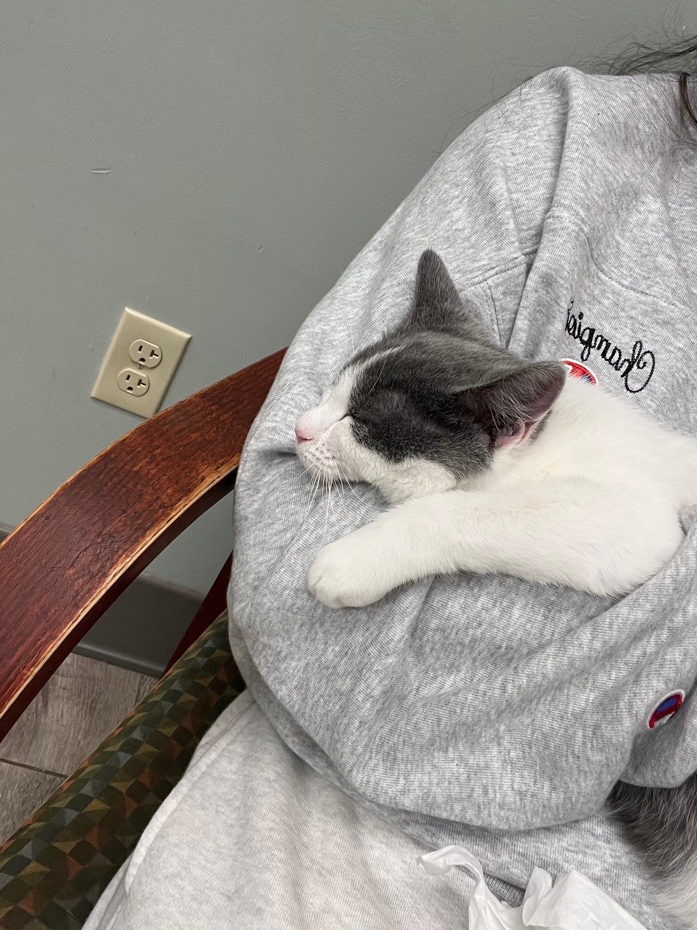 Help Sweet Nellie Get the Care She Deserves campaign photo, 2 of 7