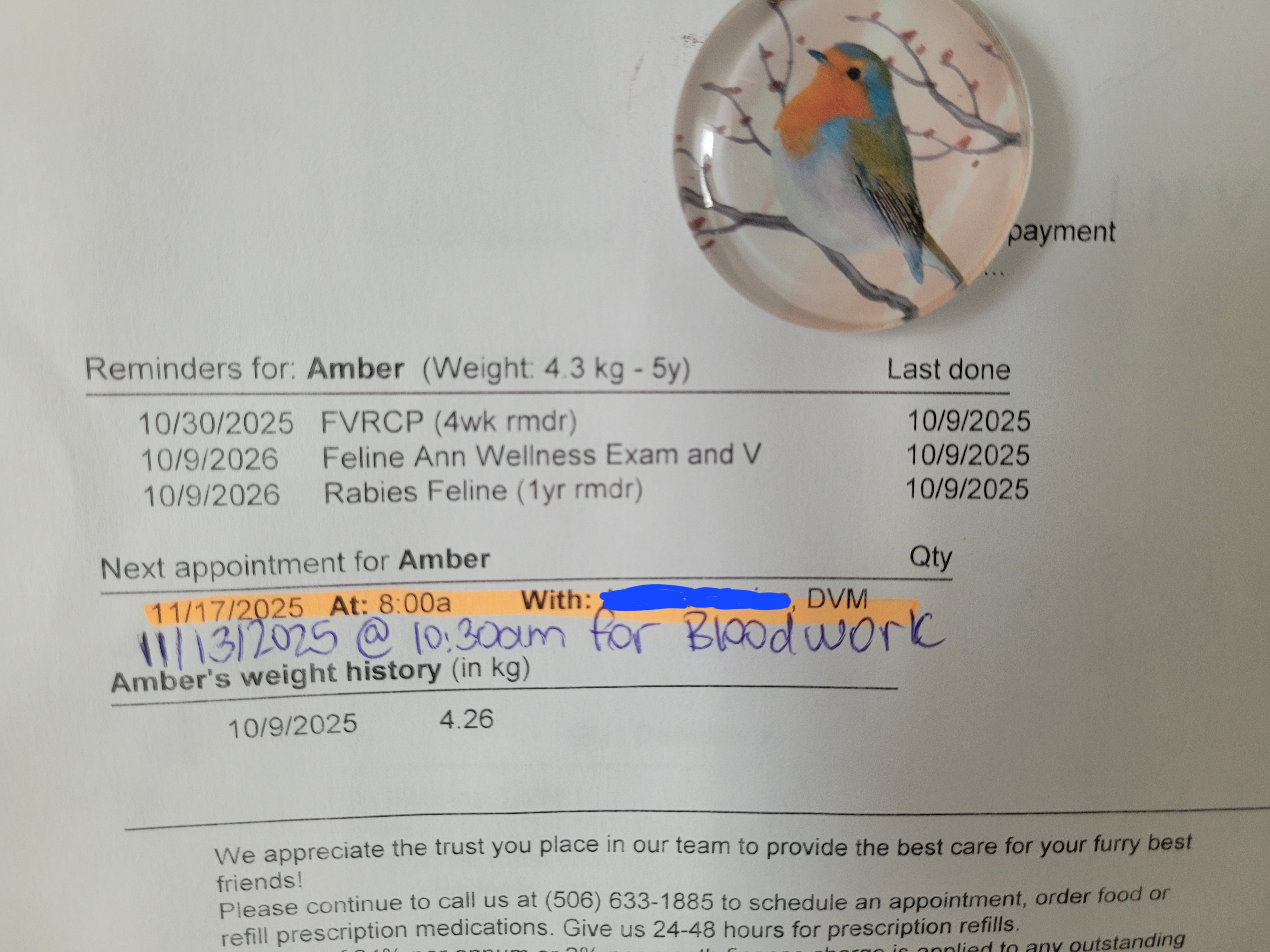 Help Amber get proper dental care campaign photo, 2 of 6