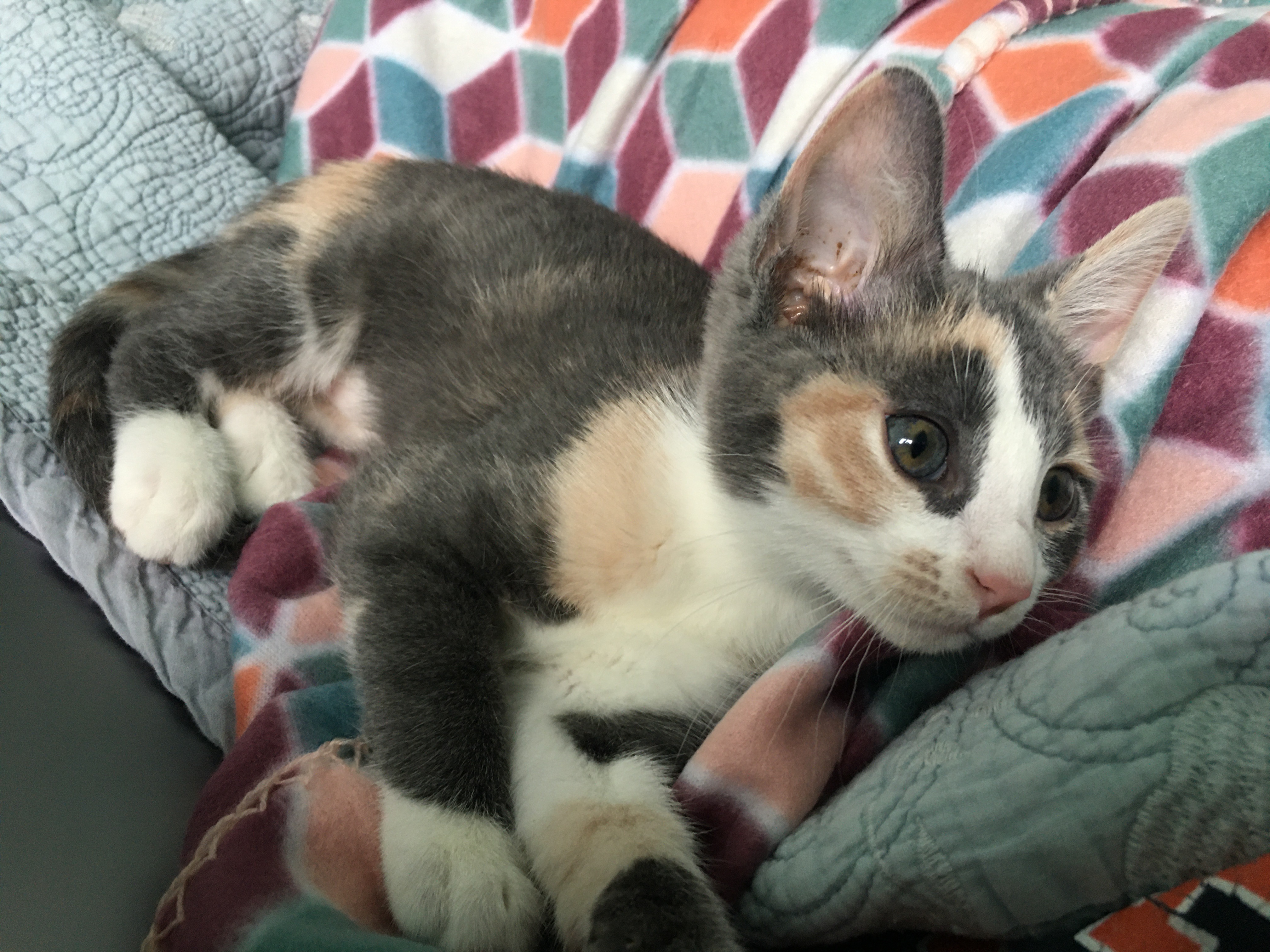 Help Leia Recover After House Fire campaign photo, 7 of 8