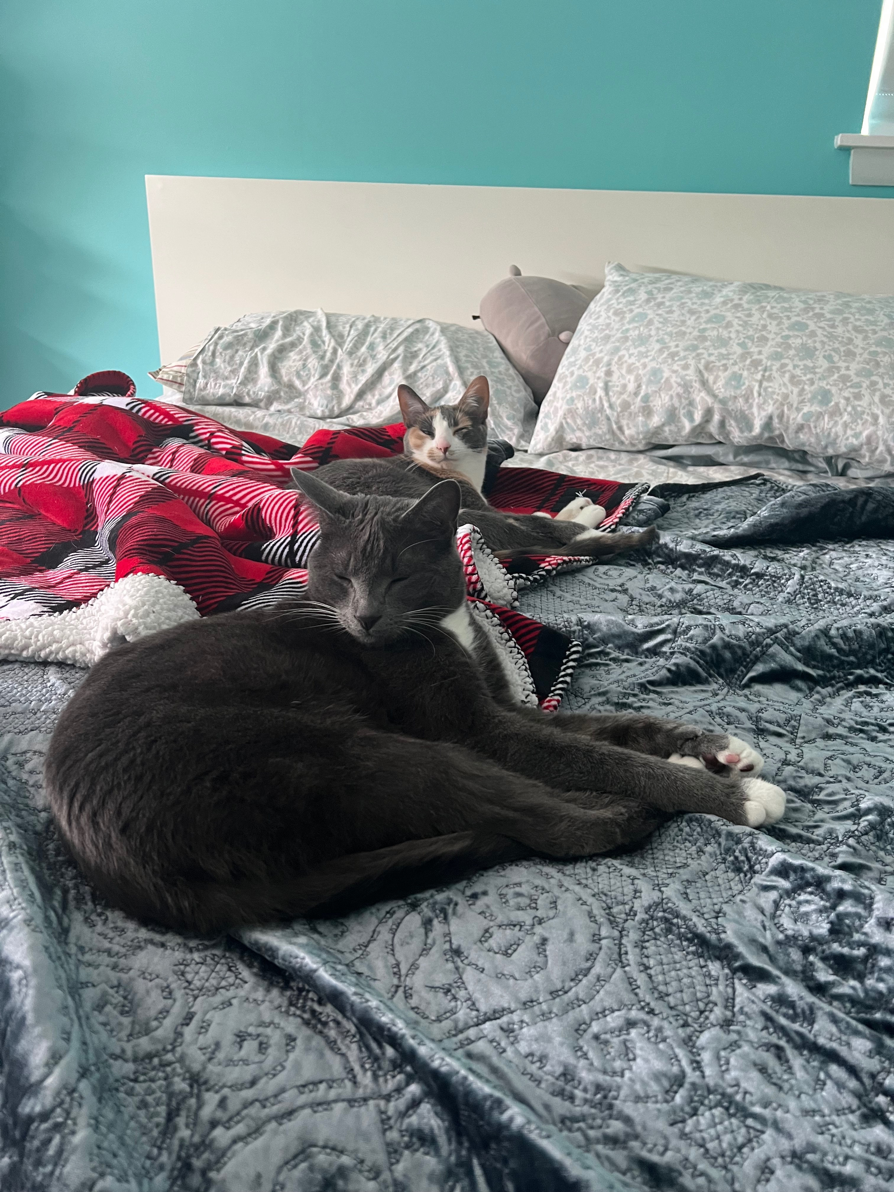 Help Leia Recover After House Fire campaign photo, 4 of 8