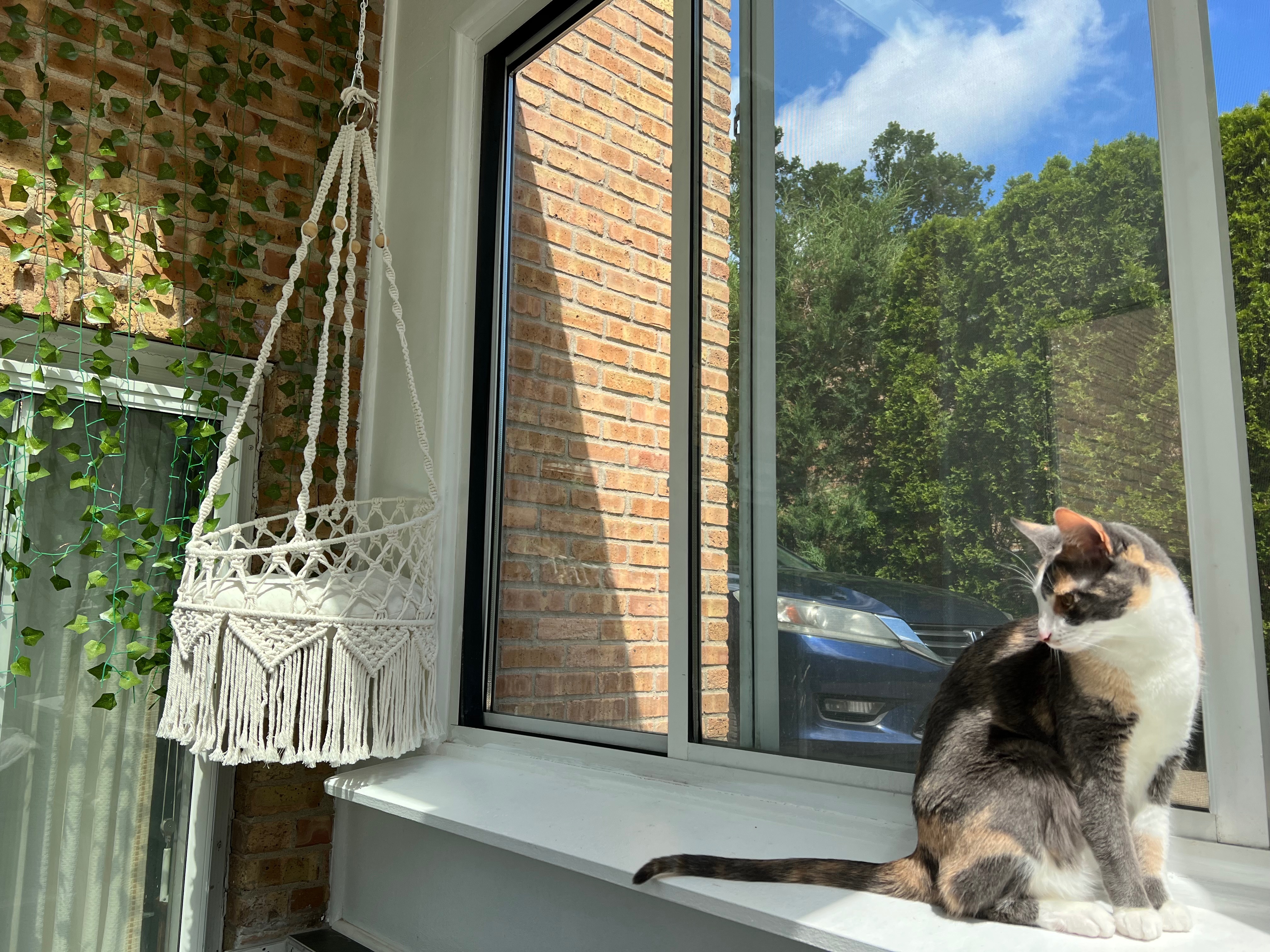Help Leia Recover After House Fire campaign photo, 5 of 8