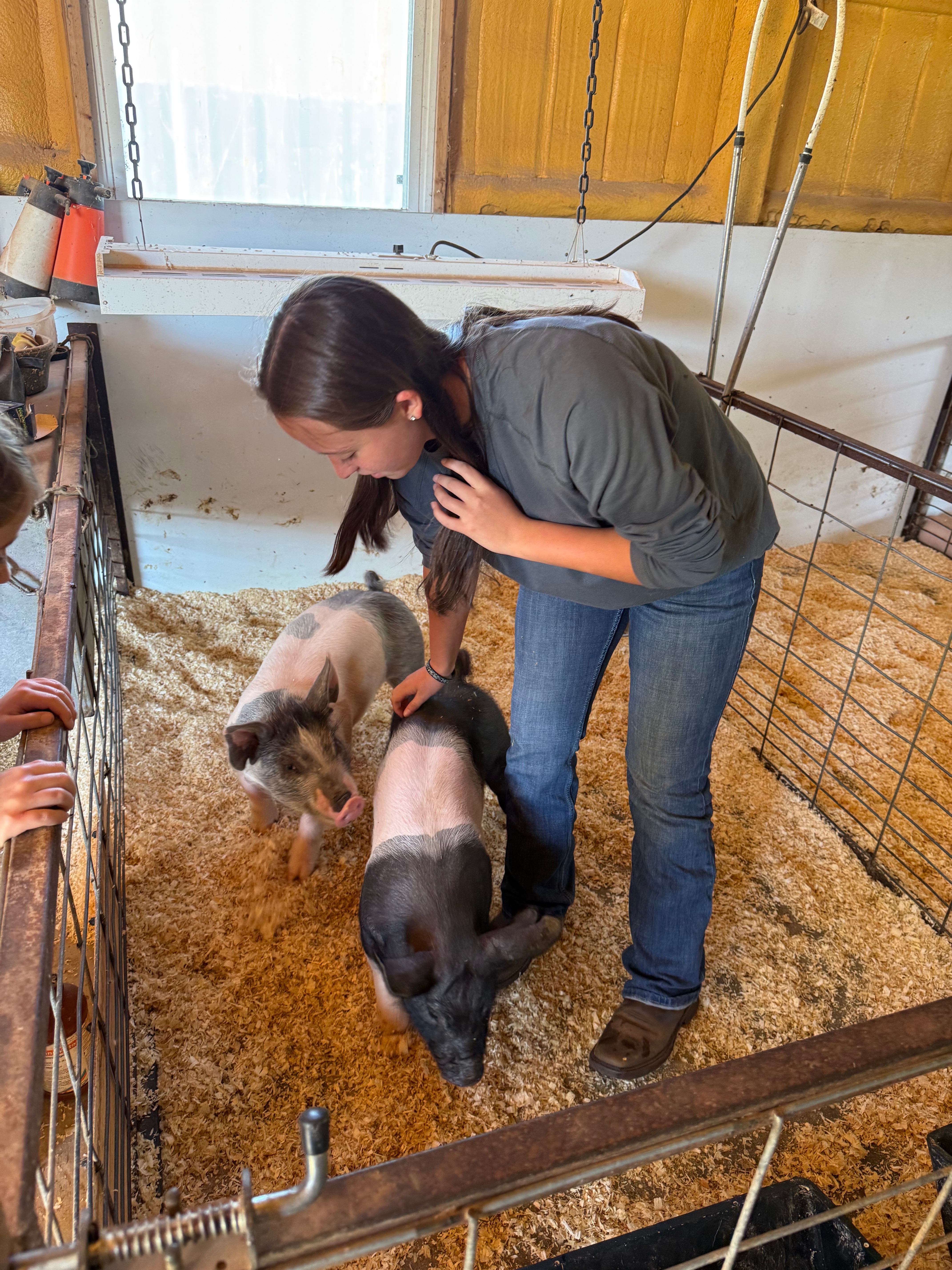 Kinzlee’s Pig Fund campaign photo, 5 of 7