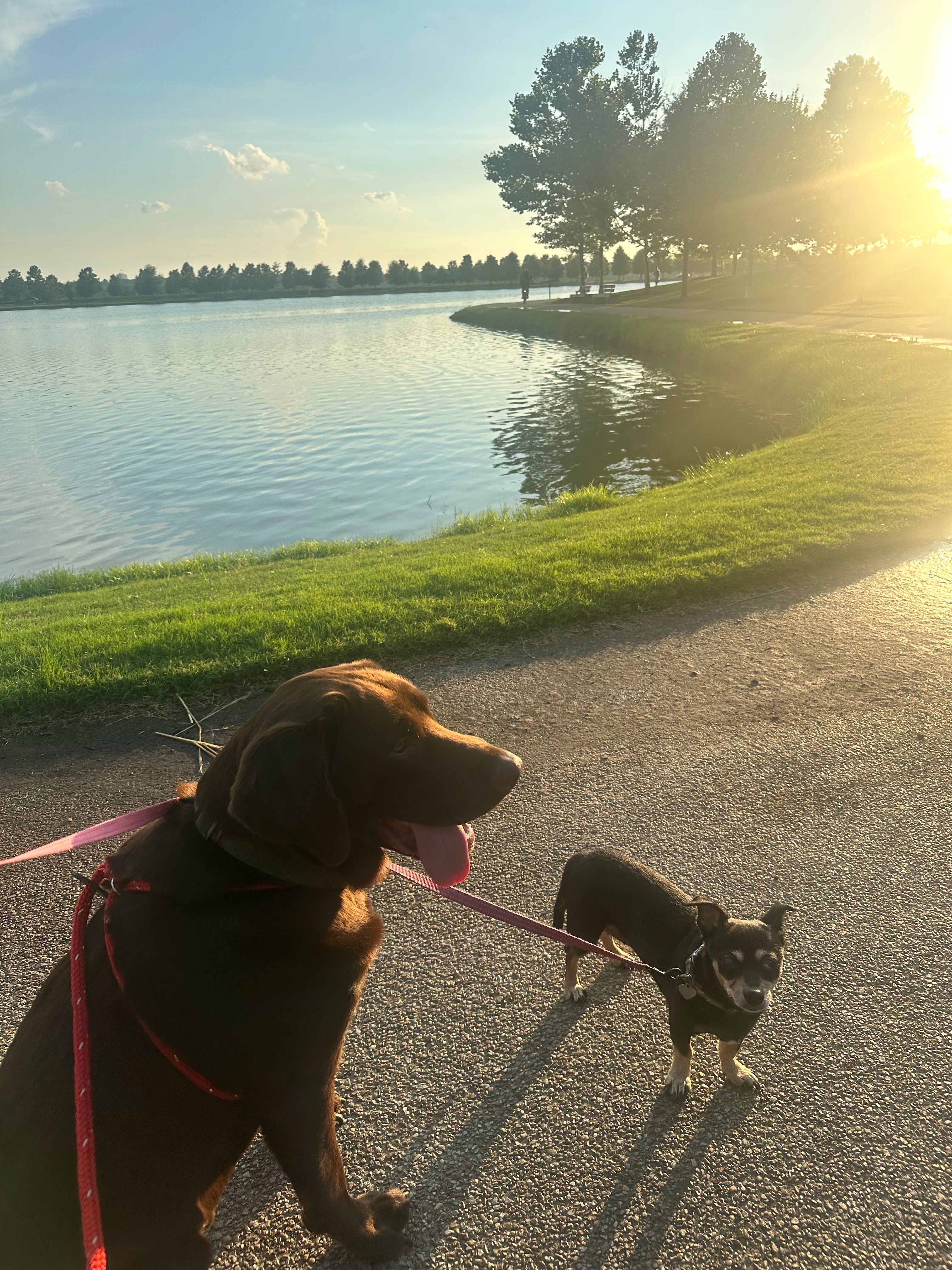 User-uploaded image 1