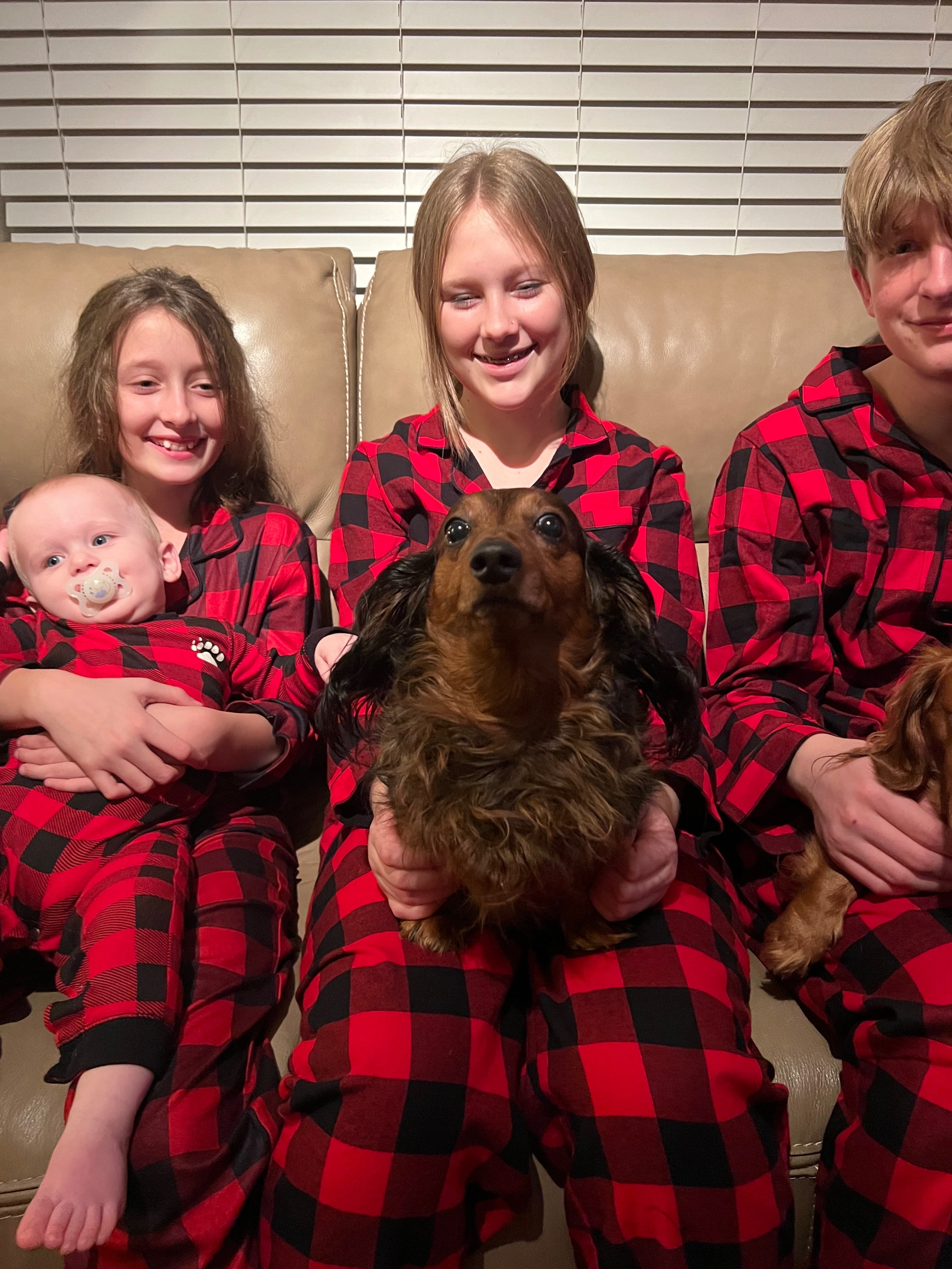 Save Kevin: Help Our Beloved Pup campaign photo, 4 of 8