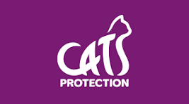 Cats Protection, St Albans & District - Ruby and Rose campaign photo, 4 of 5