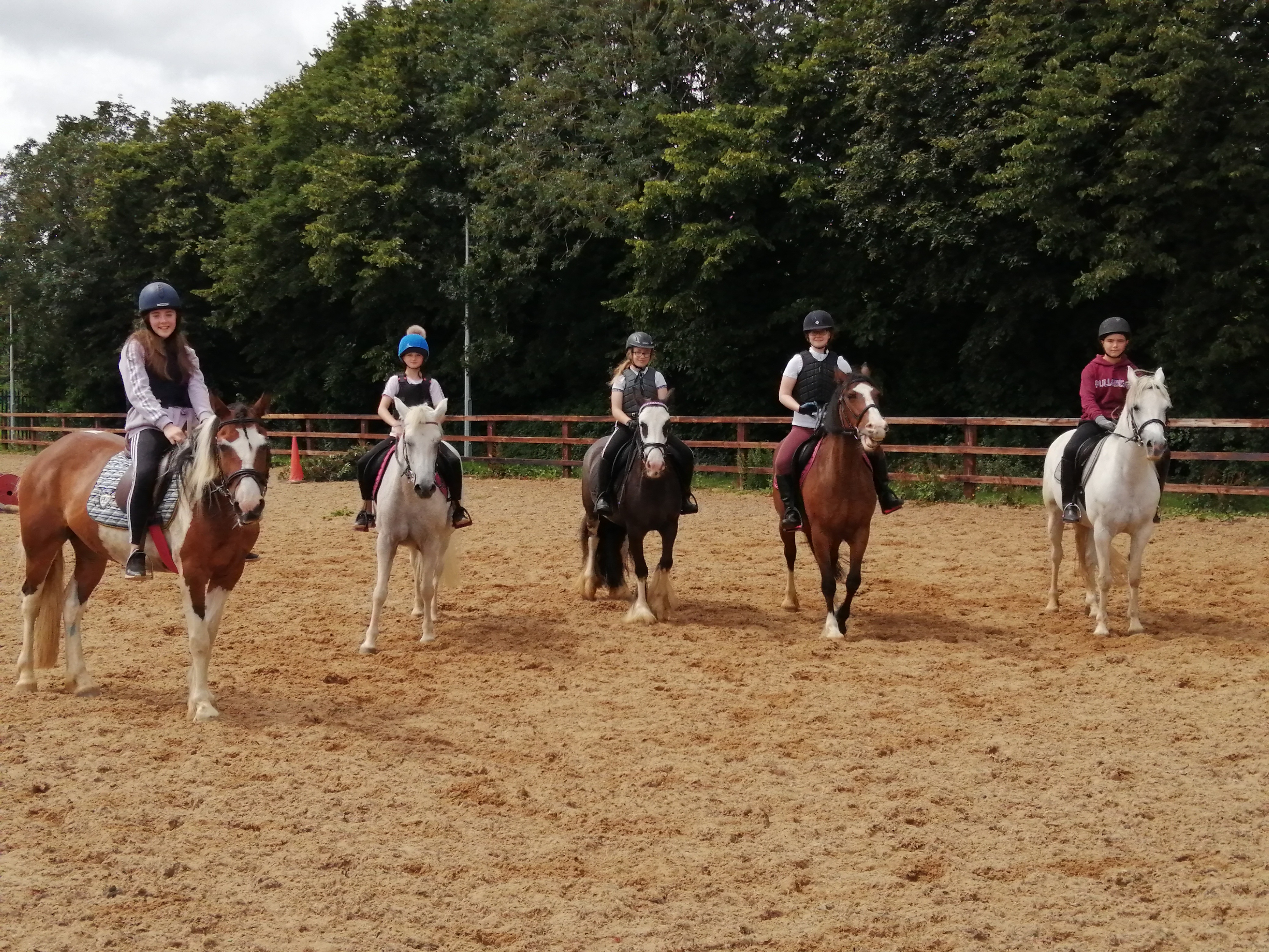 Please support the clondalkin equine club campaign photo, 4 of 8
