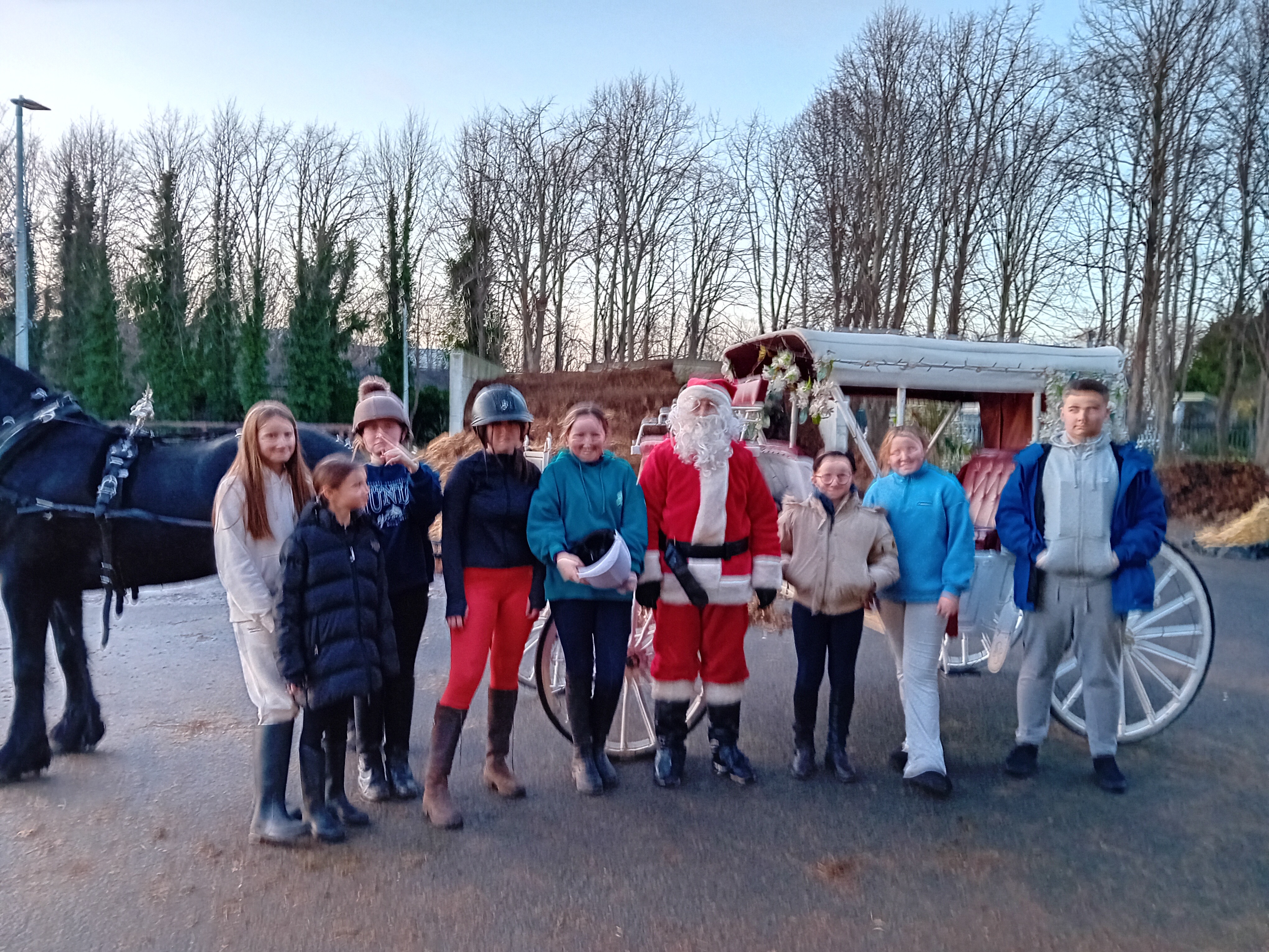 Please support the clondalkin equine club campaign photo, 5 of 8