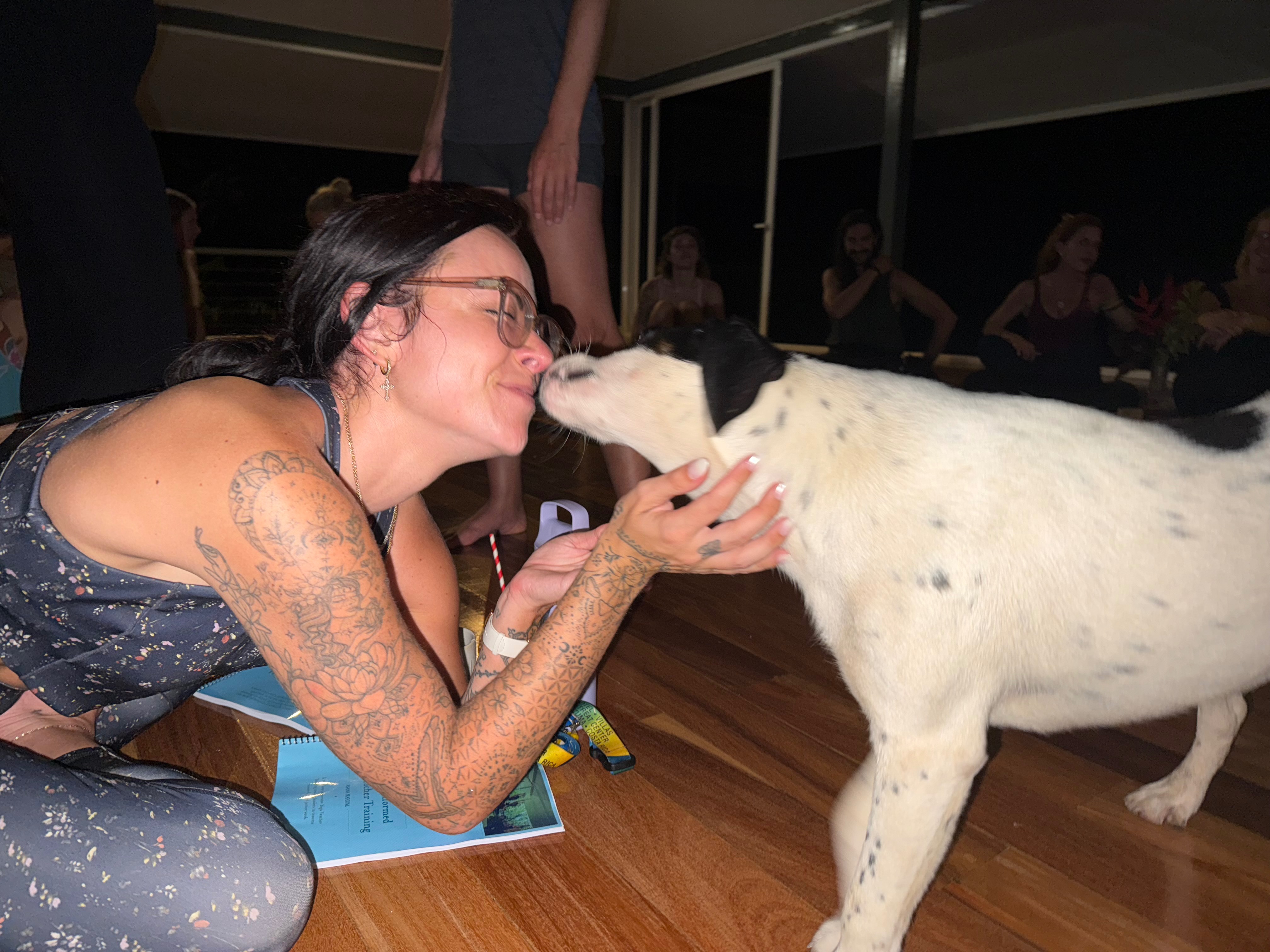 Support Oreo's Journey to a New Life campaign photo, 6 of 8