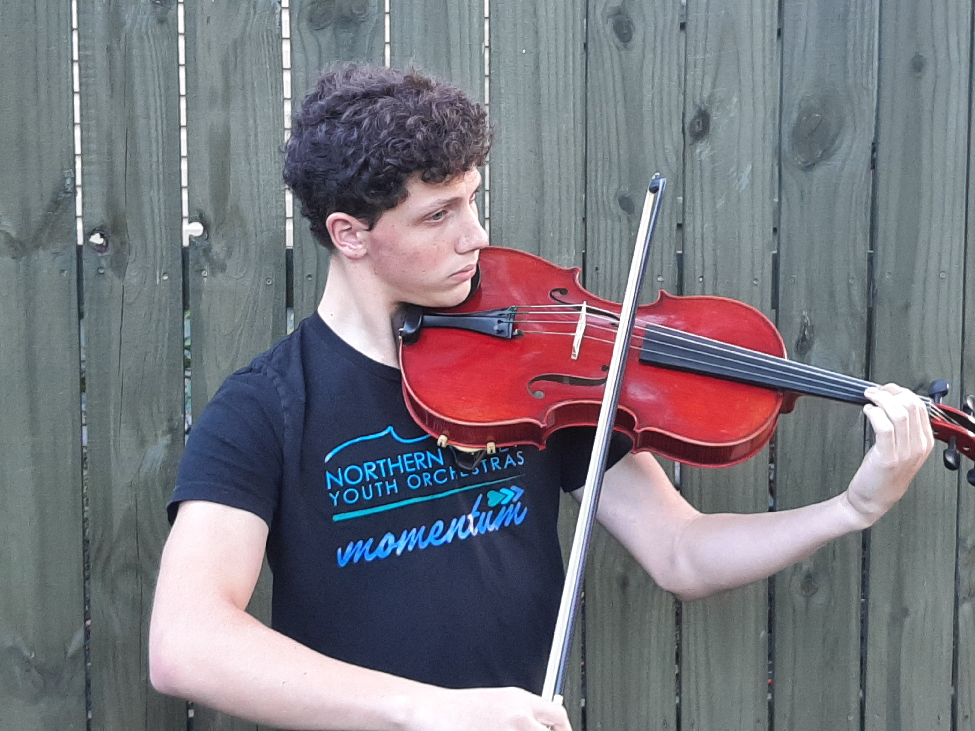 Assist Aaron in Acruing Assets for an Orchestra Adventure campaign photo, 5 of 6
