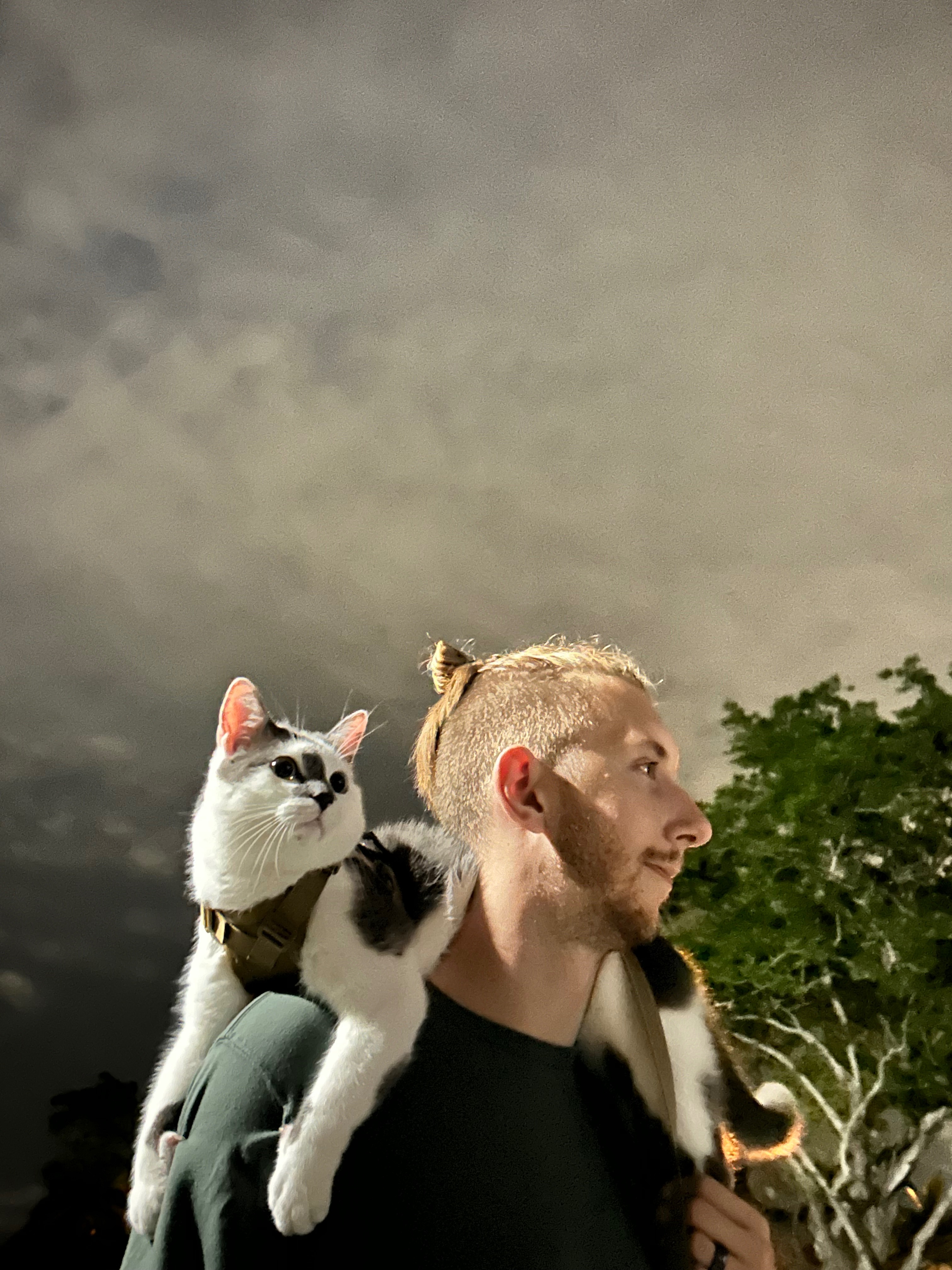 Support Tanji's Fight for Life campaign photo, 5 of 7
