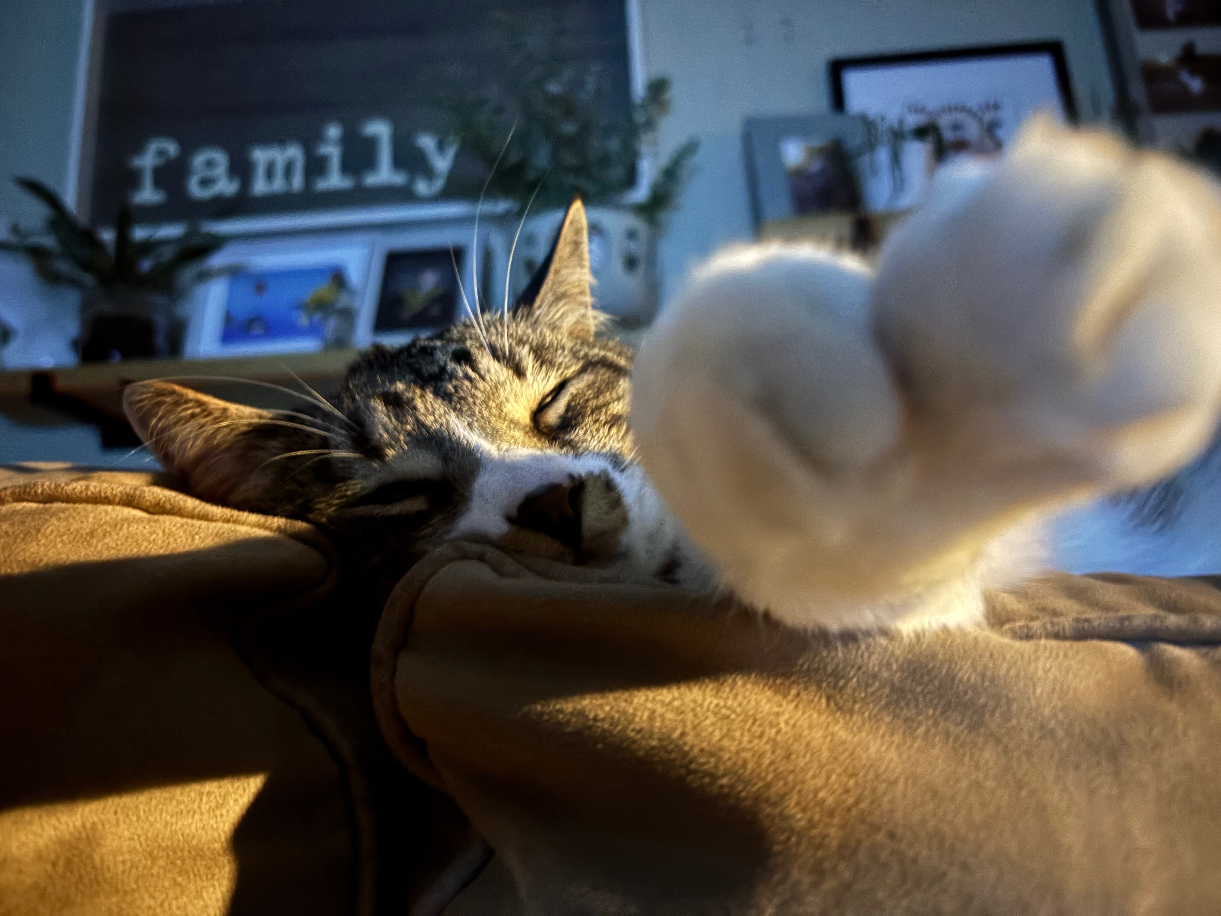 User-uploaded image 1