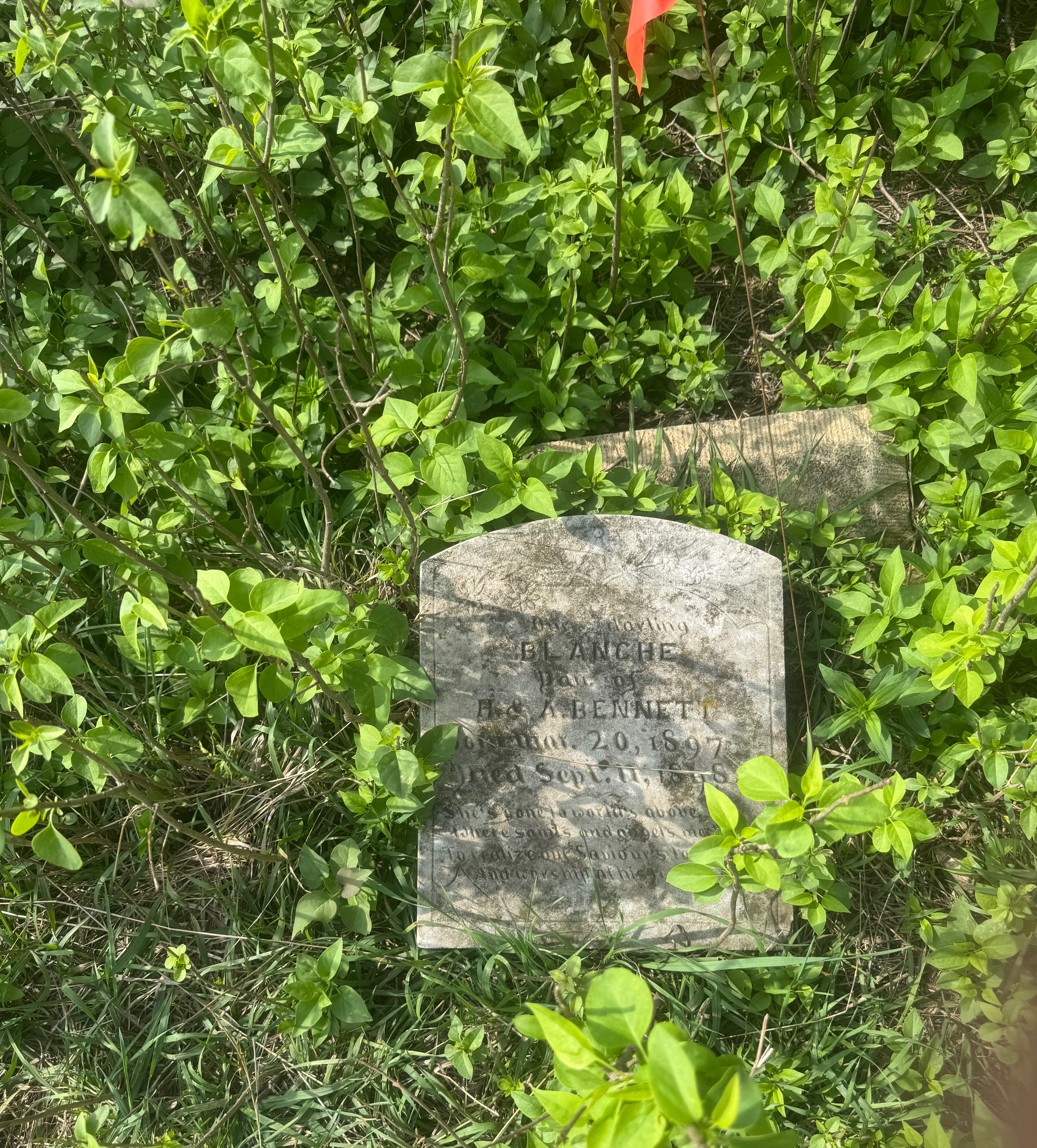 Fountain Cemetery Restoration campaign photo, 5 of 8