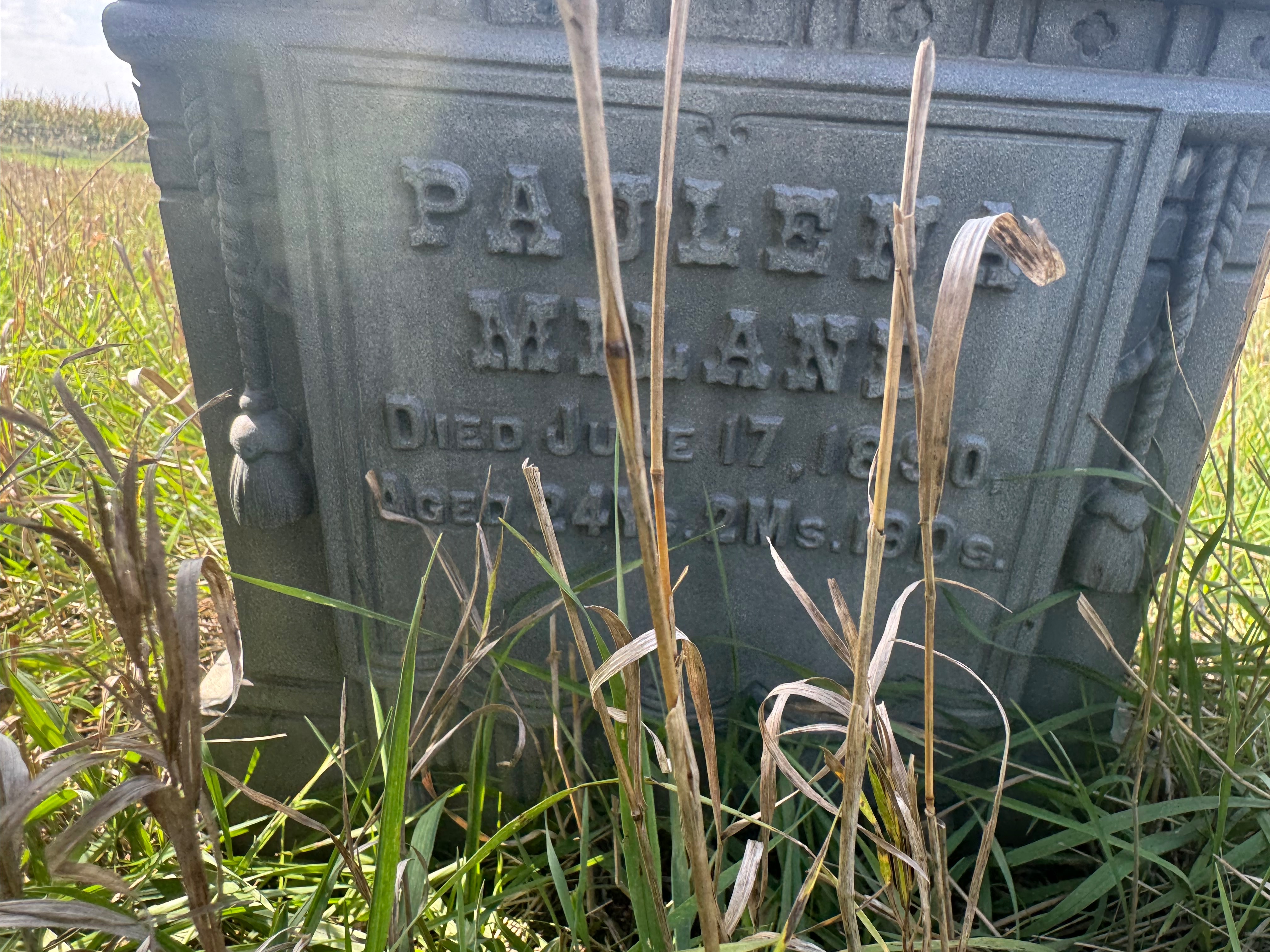 Fountain Cemetery Restoration campaign photo, 6 of 8