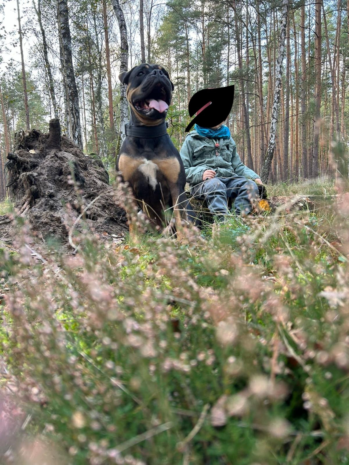 Timba braucht eure Unterstützung campaign photo, 5 of 6