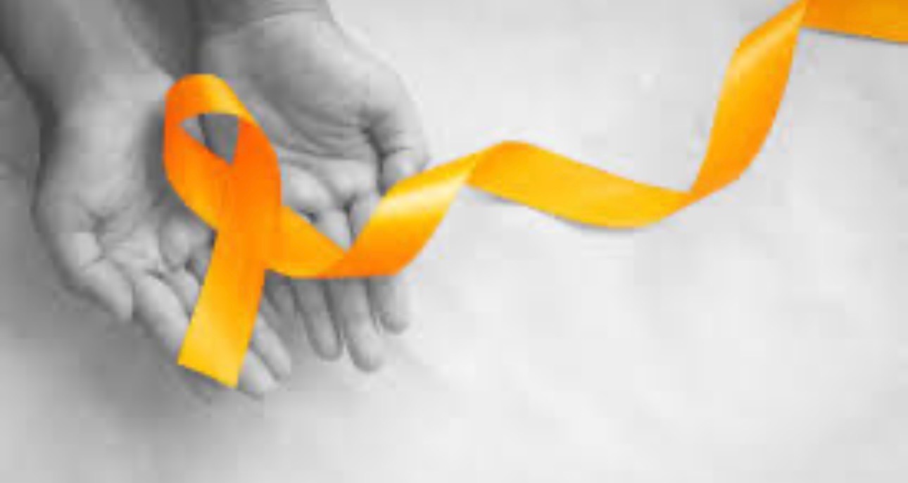 Help Gemma Battle Leukemia with Casey campaign photo, 2 of 4