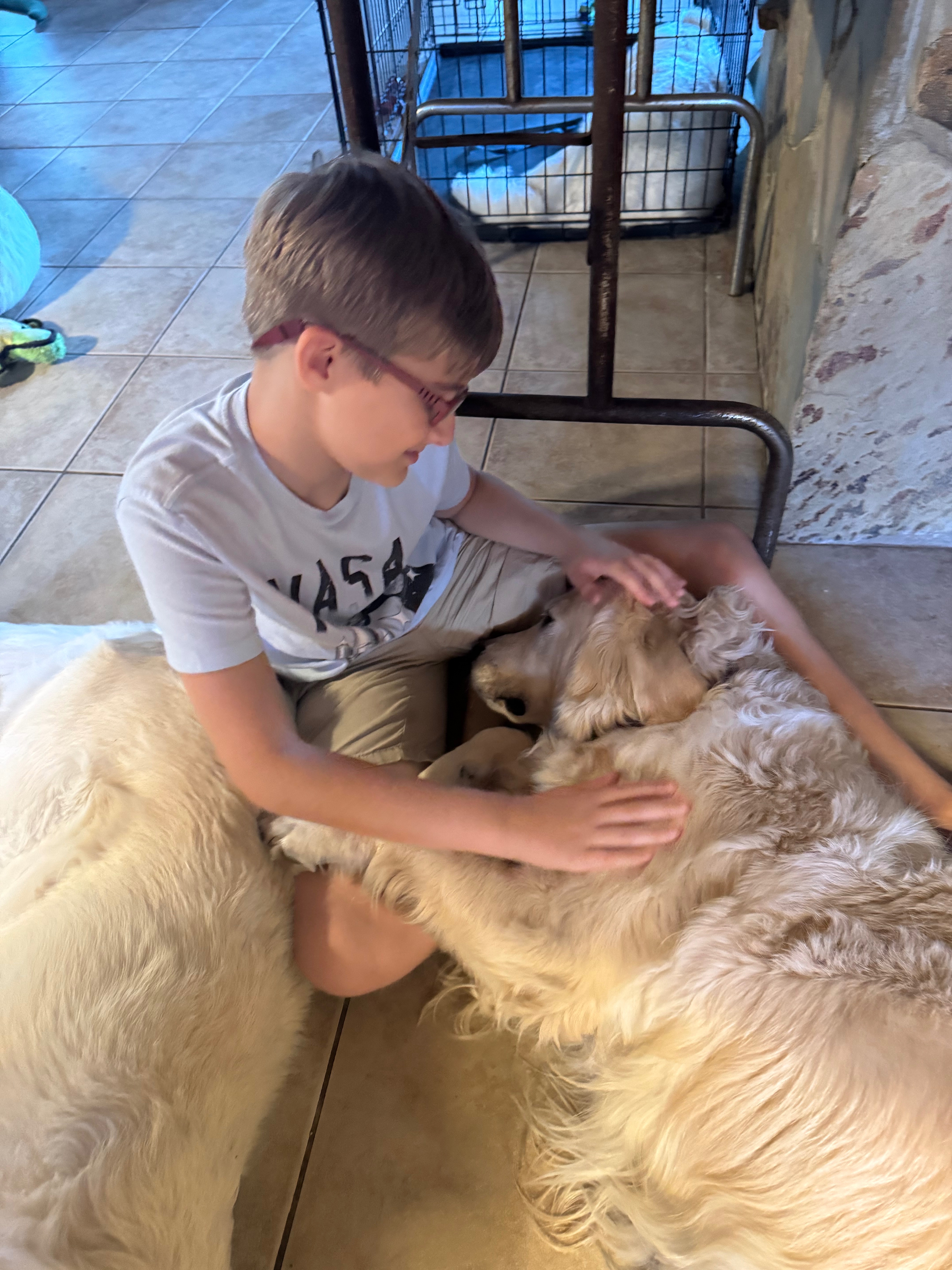 Help Logan get his Service Dog campaign photo, 5 of 8