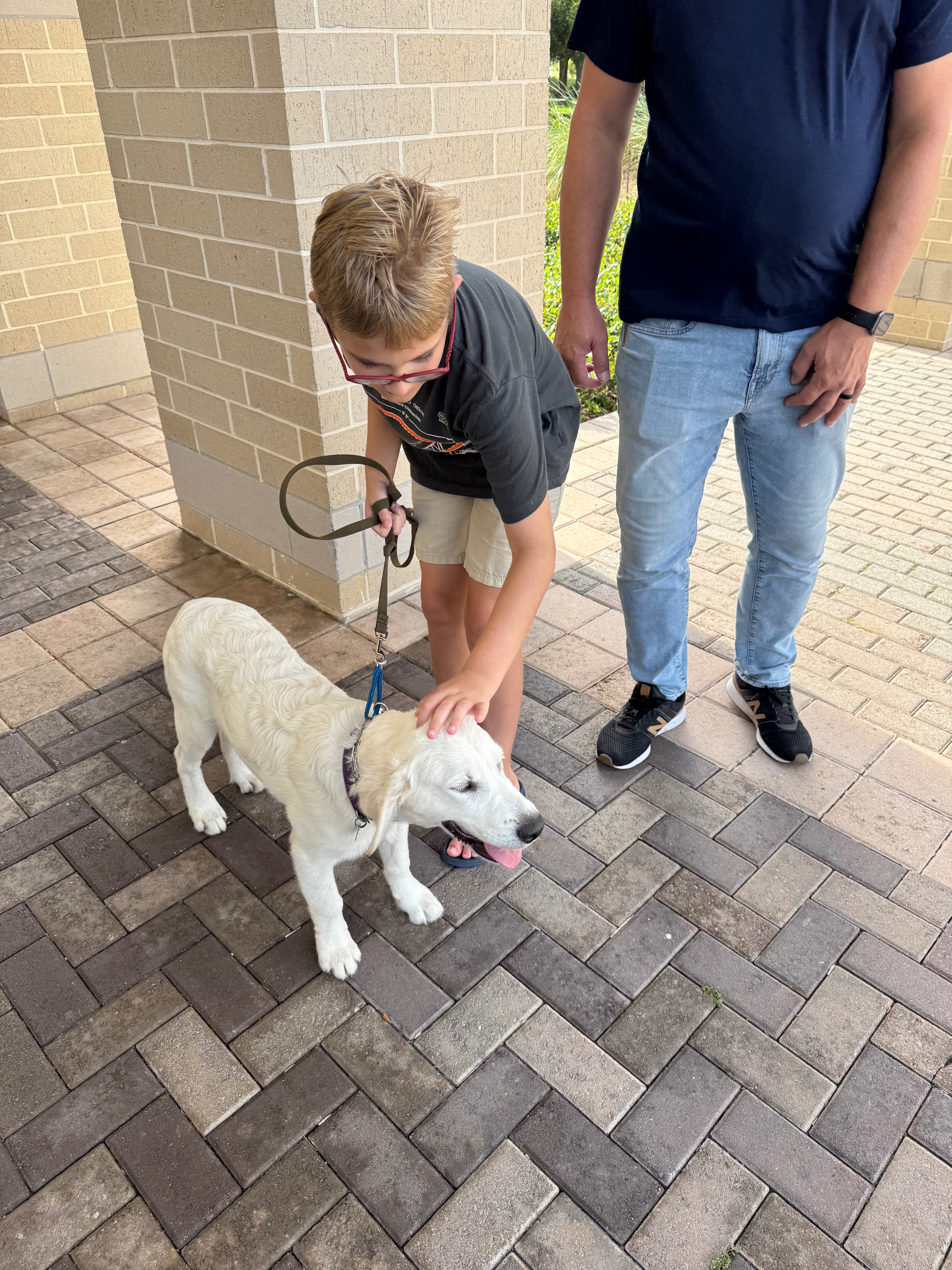 Help Logan get his Service Dog campaign photo, 6 of 8