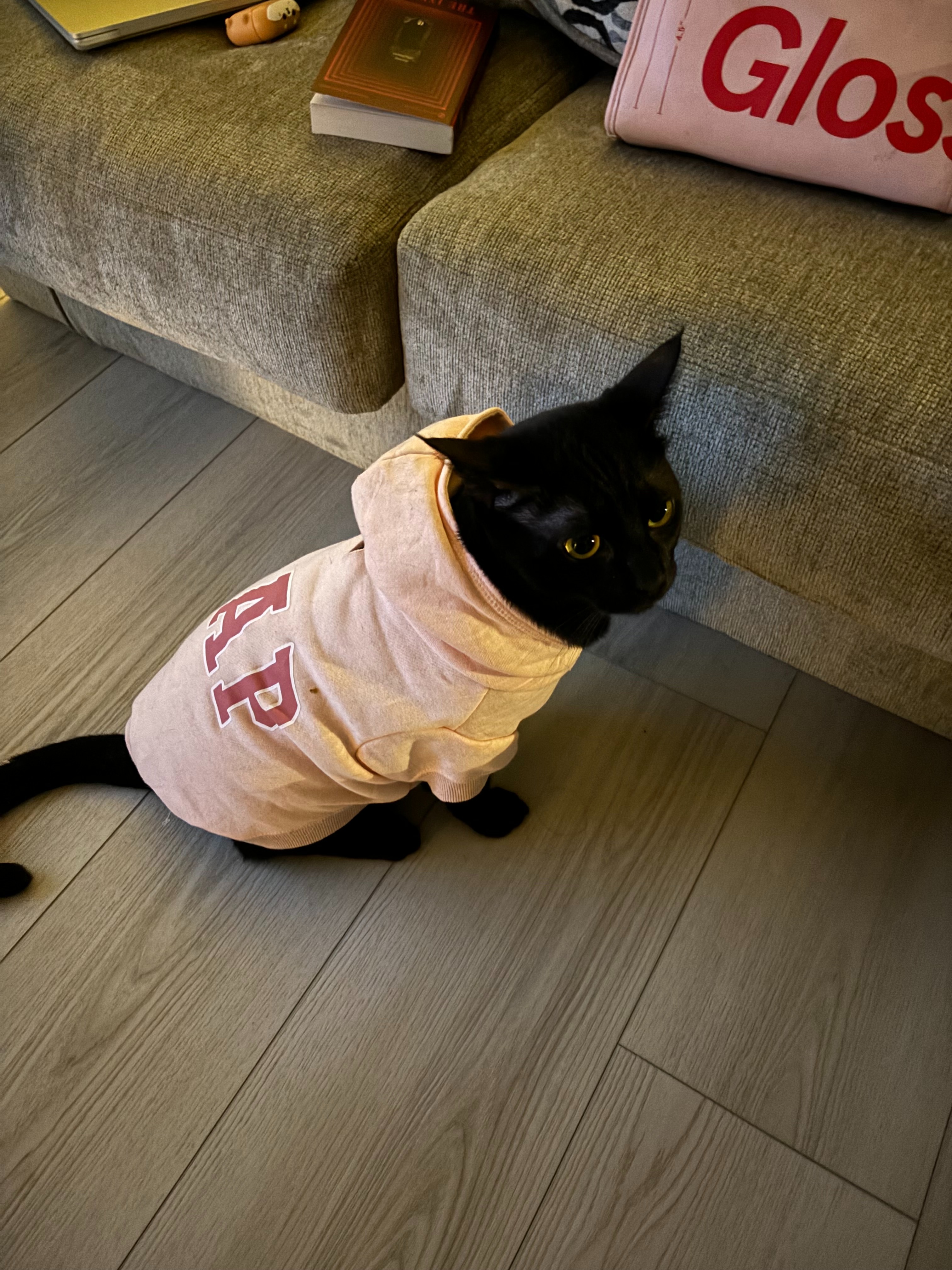 Help Smudge Heal After Life-Threatening Emergency campaign photo, 2 of 6