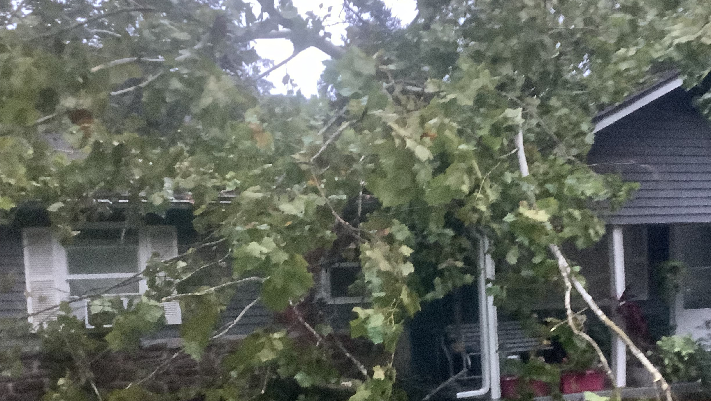 Help Katrena Repair Her Home After Tragedy photo