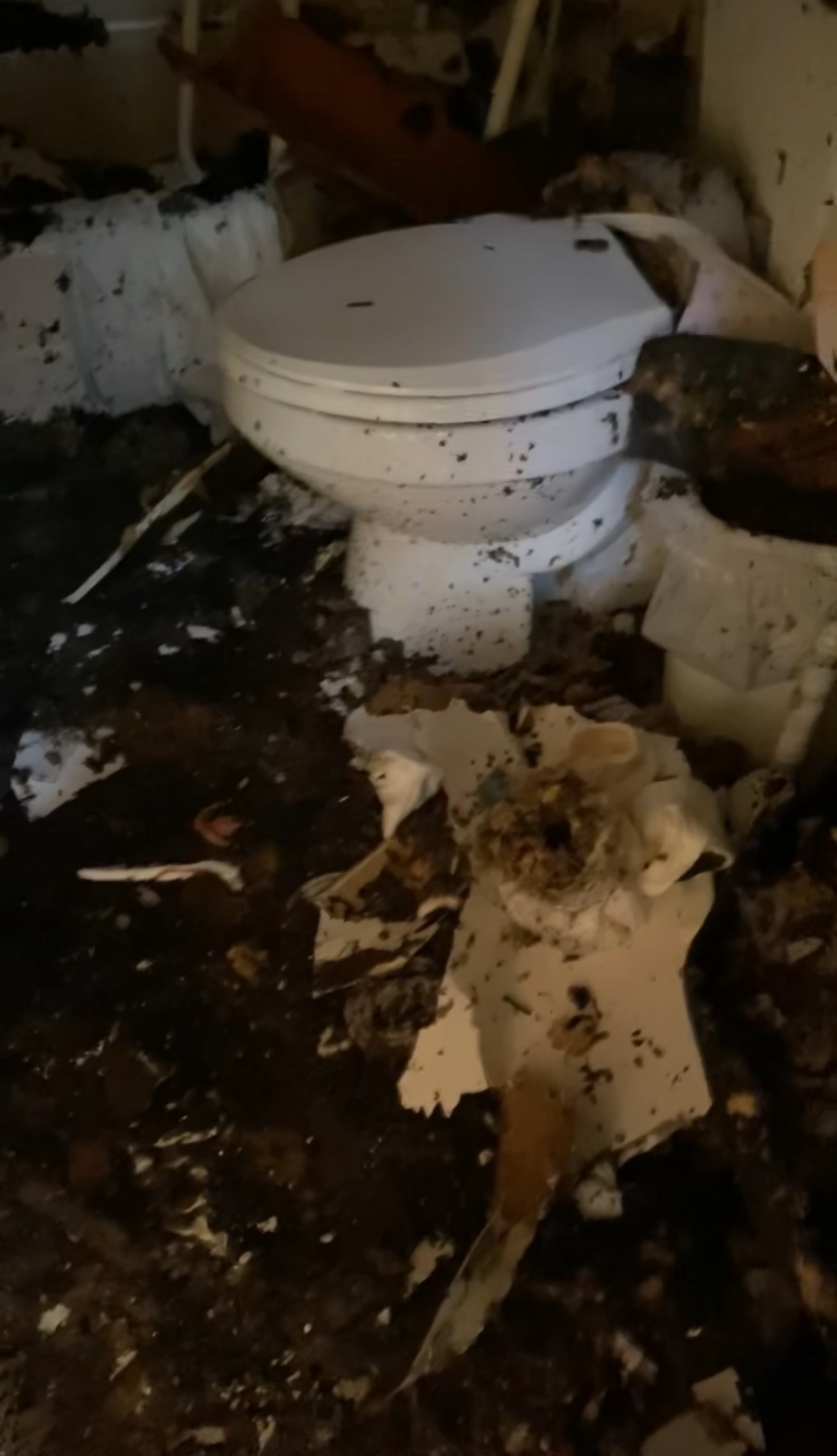 Help MaryLee Rebuild After Devastating Fire campaign photo, 2 of 8