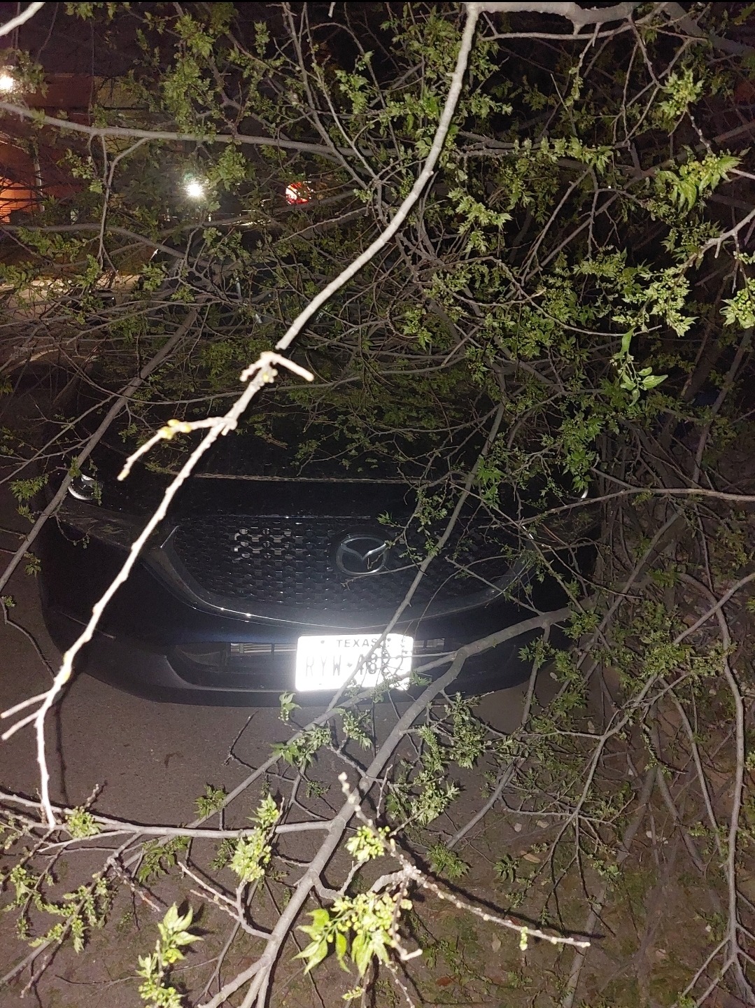 Birthday Wish: Fund Car Repair for 2025 campaign photo, 5 of 7