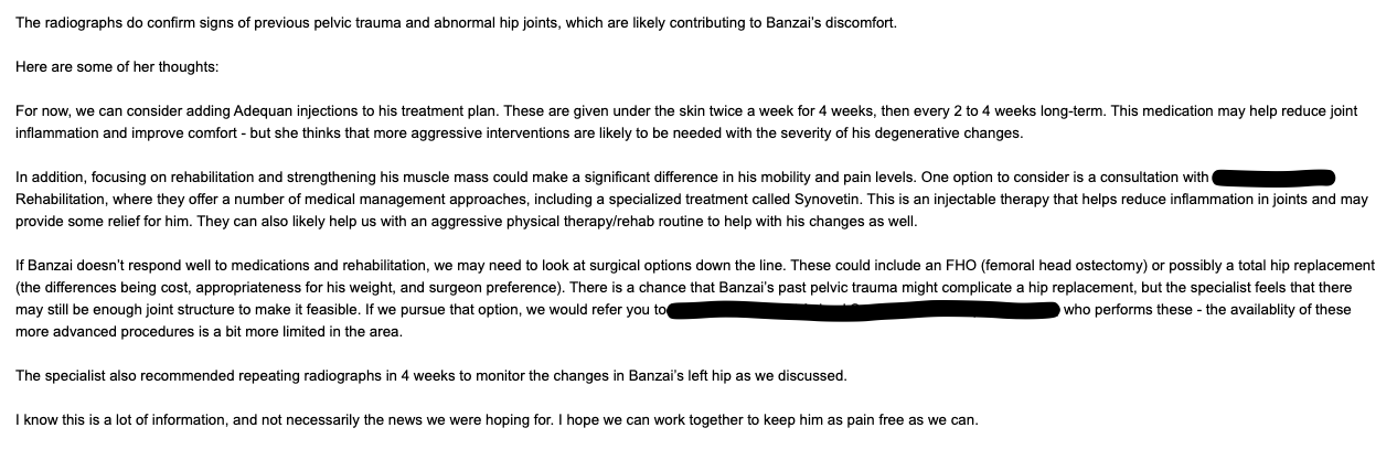 Donate to Banzai's Critical Medical Care campaign photo, 2 of 8