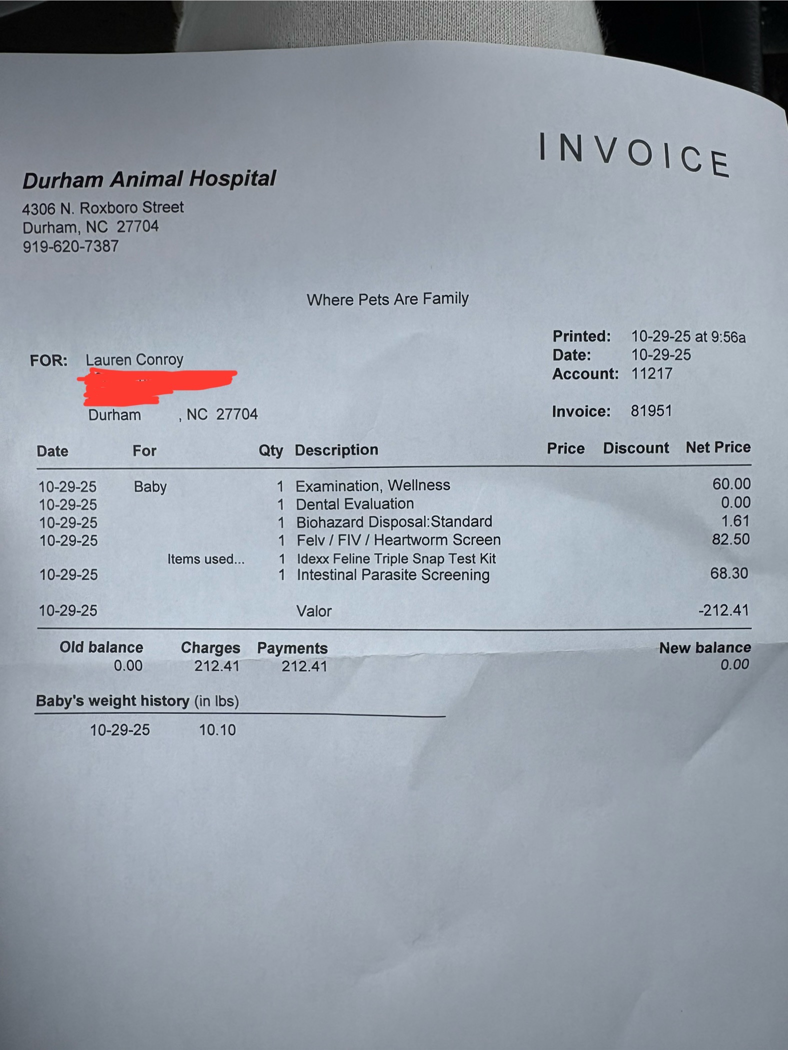 Young Calico and Her Kitten's Vet Bills & Care! campaign photo, 4 of 8