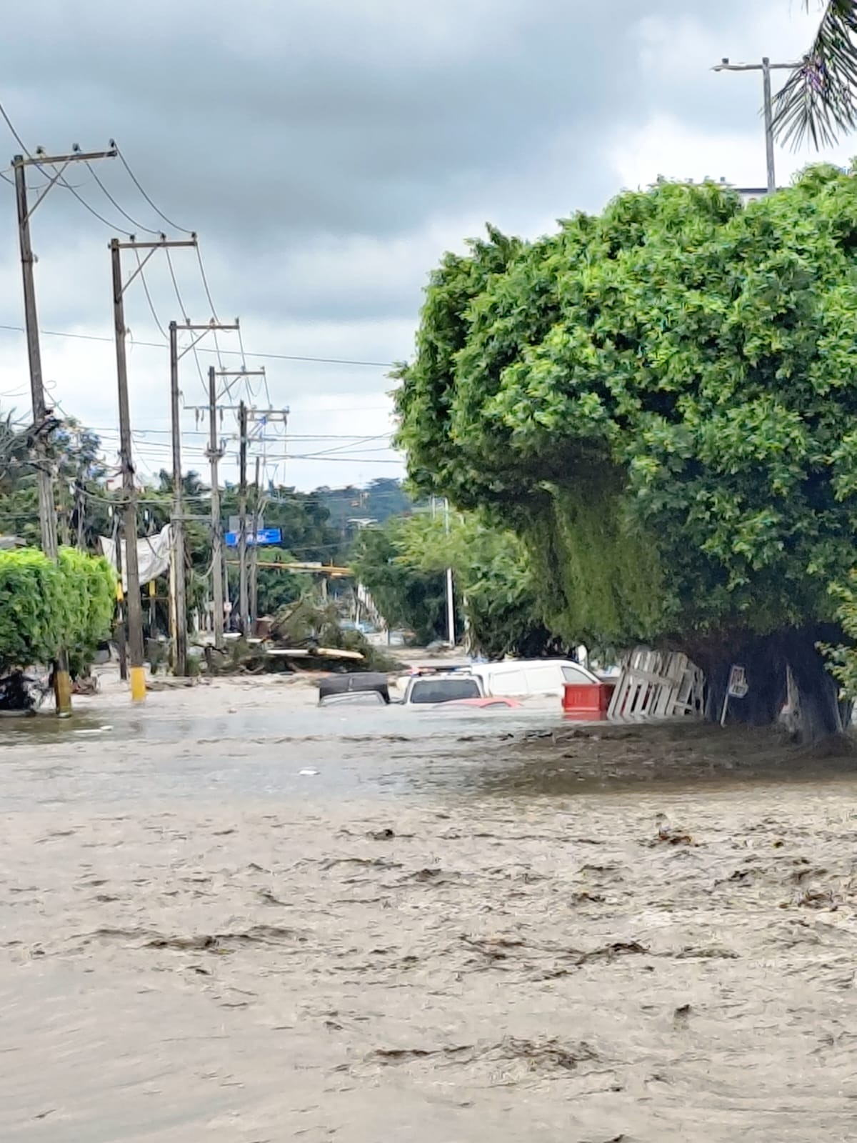 Natural disaster campaign photo, 4 of 8