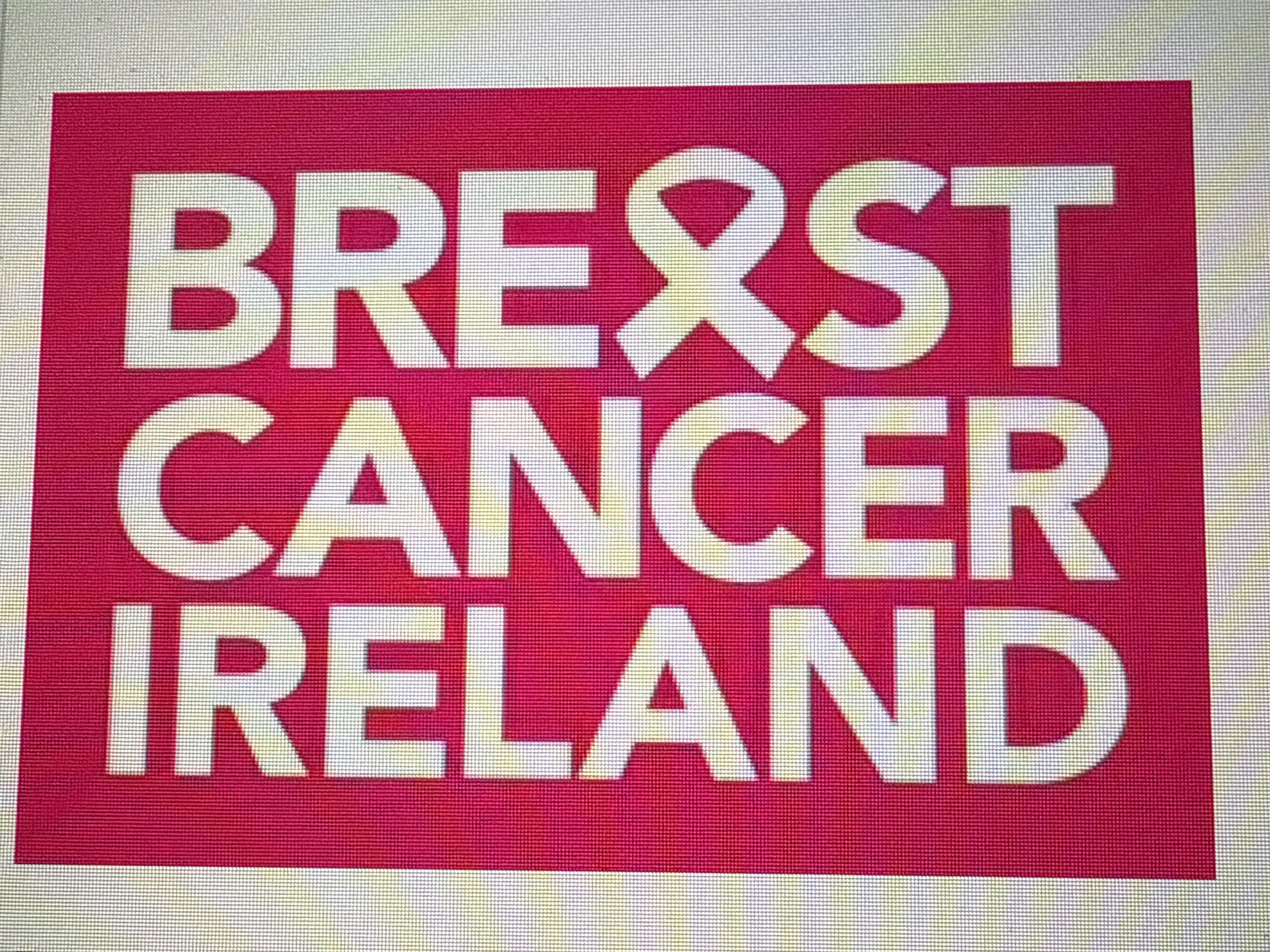 Run for You’ve got a Friend in Us and Breast Cancer Ireland campaign photo, 2 of 4