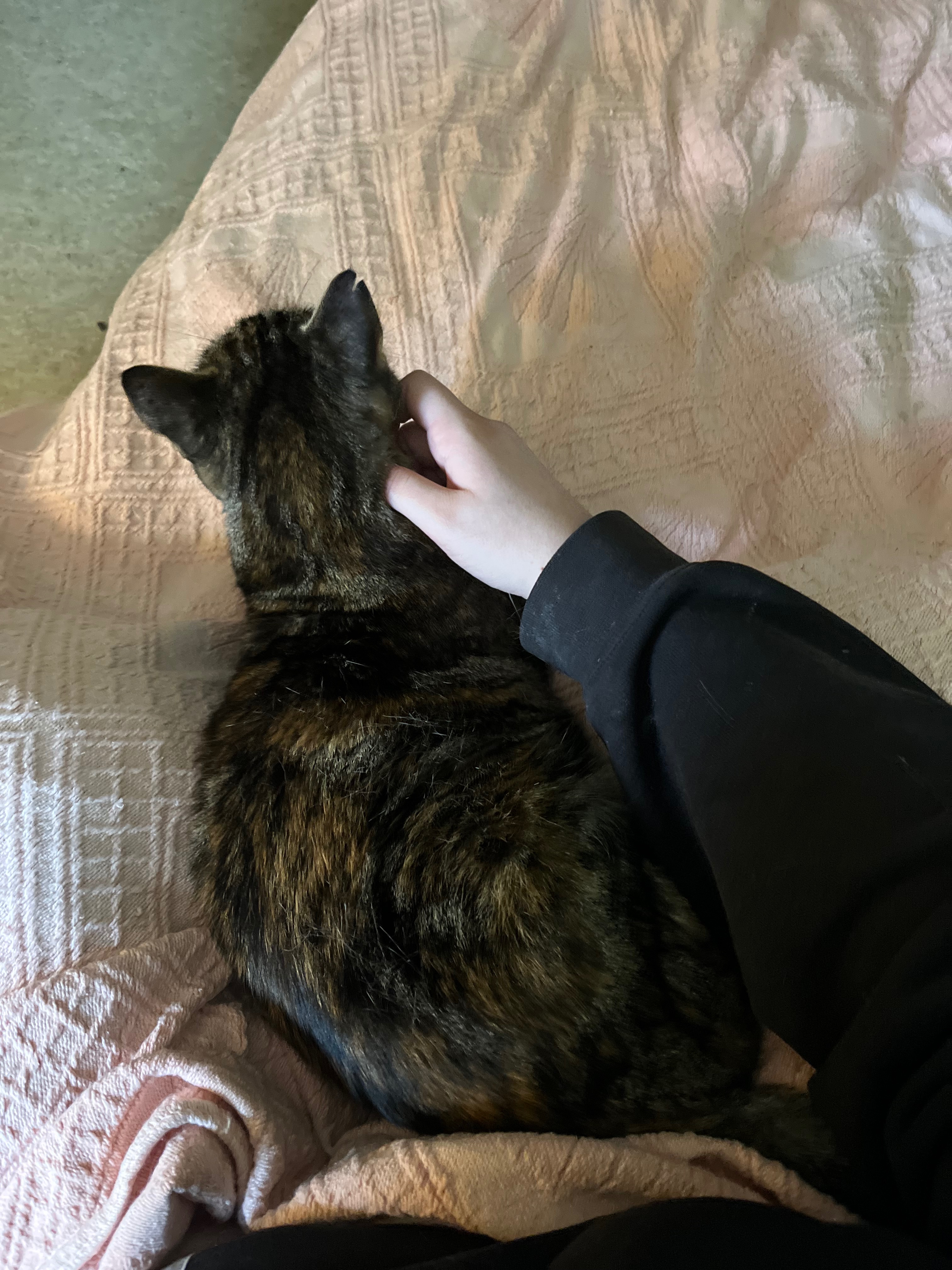 User-uploaded image 1