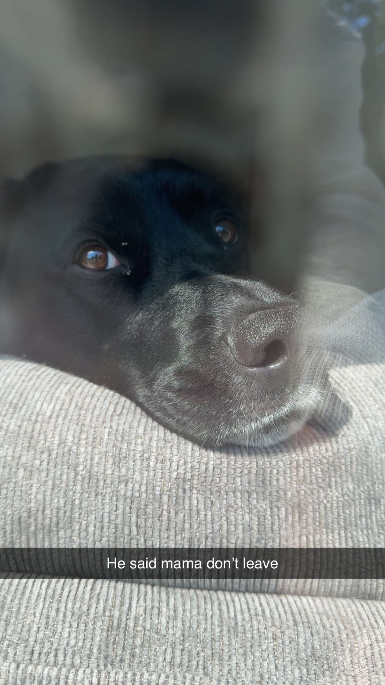 Duke’s road to recovery campaign photo, 2 of 8