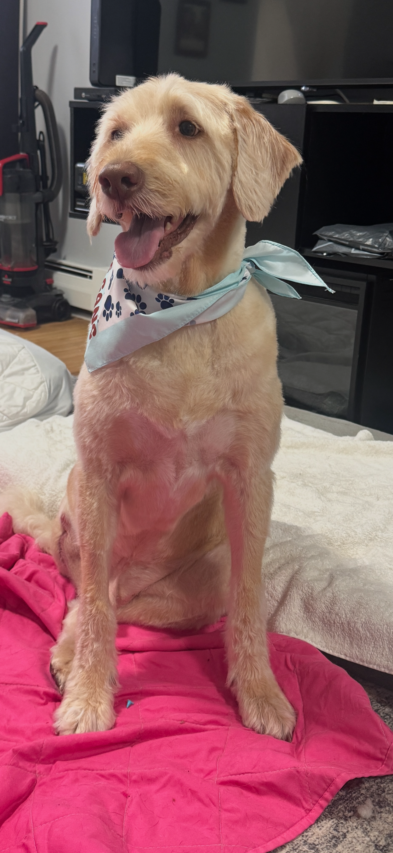 Support Winston's Recovery from Cancer Surgery campaign photo, 2 of 7