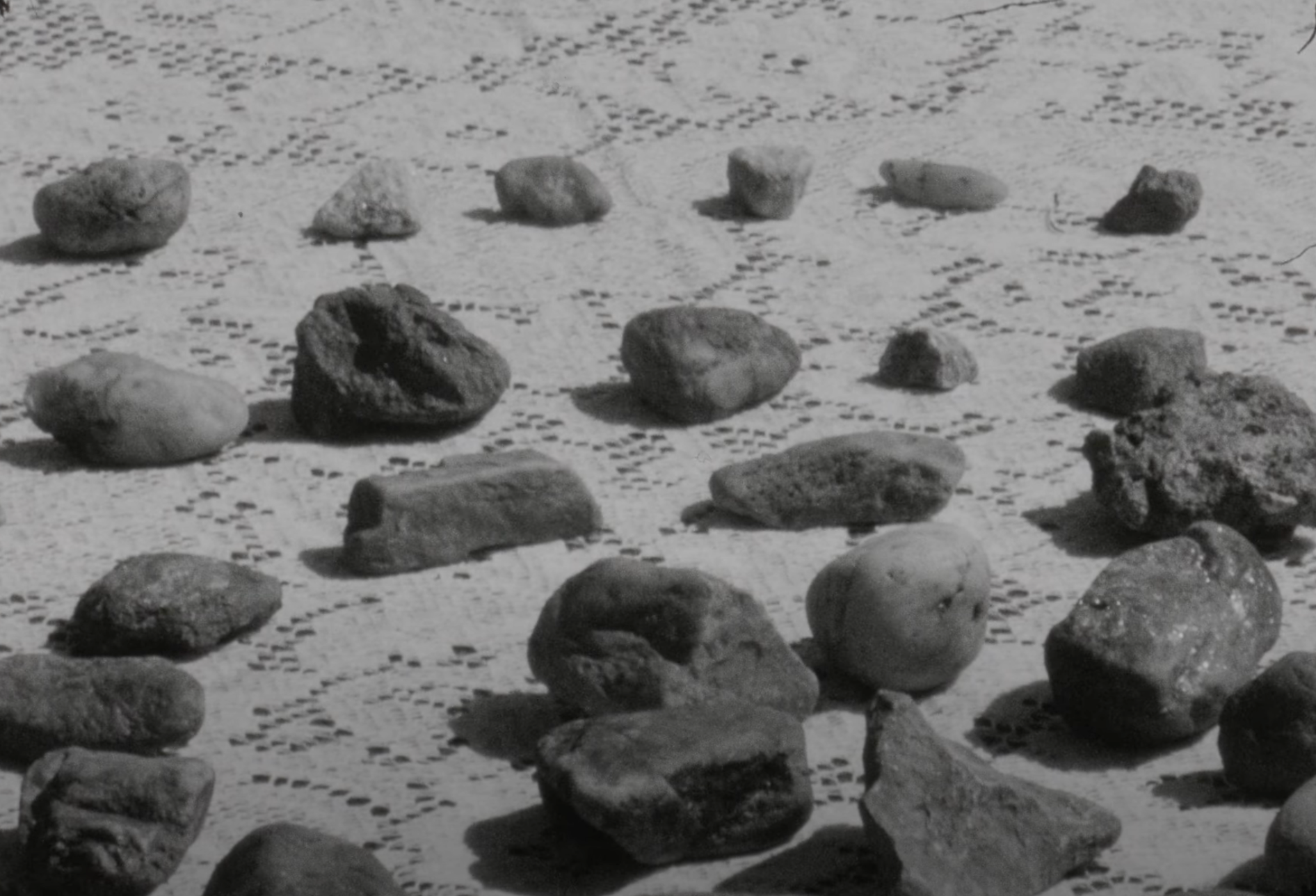 I Must Leave This Behind (student 16mm film fund) campaign photo, 5 of 7