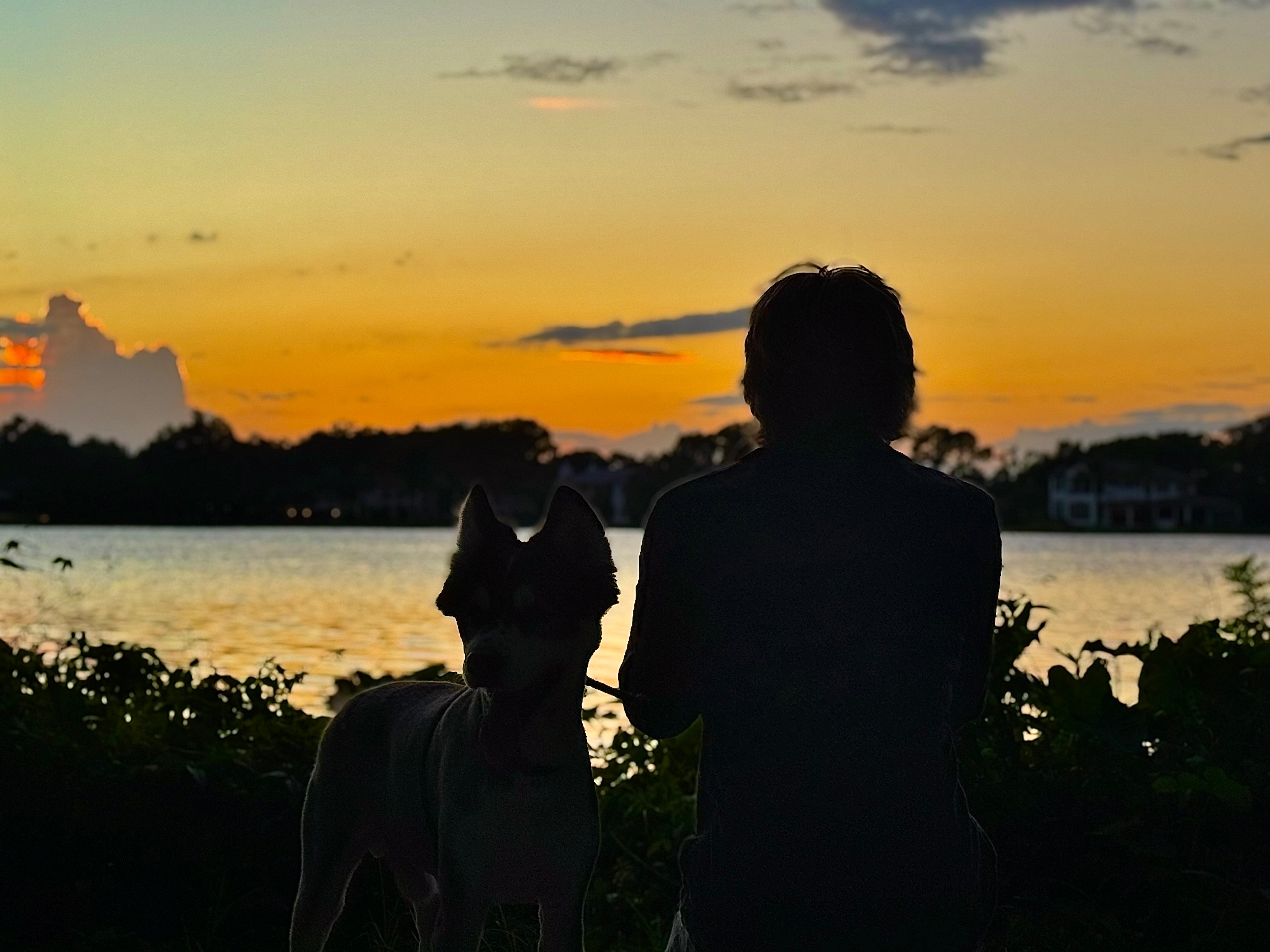 User-uploaded image 3