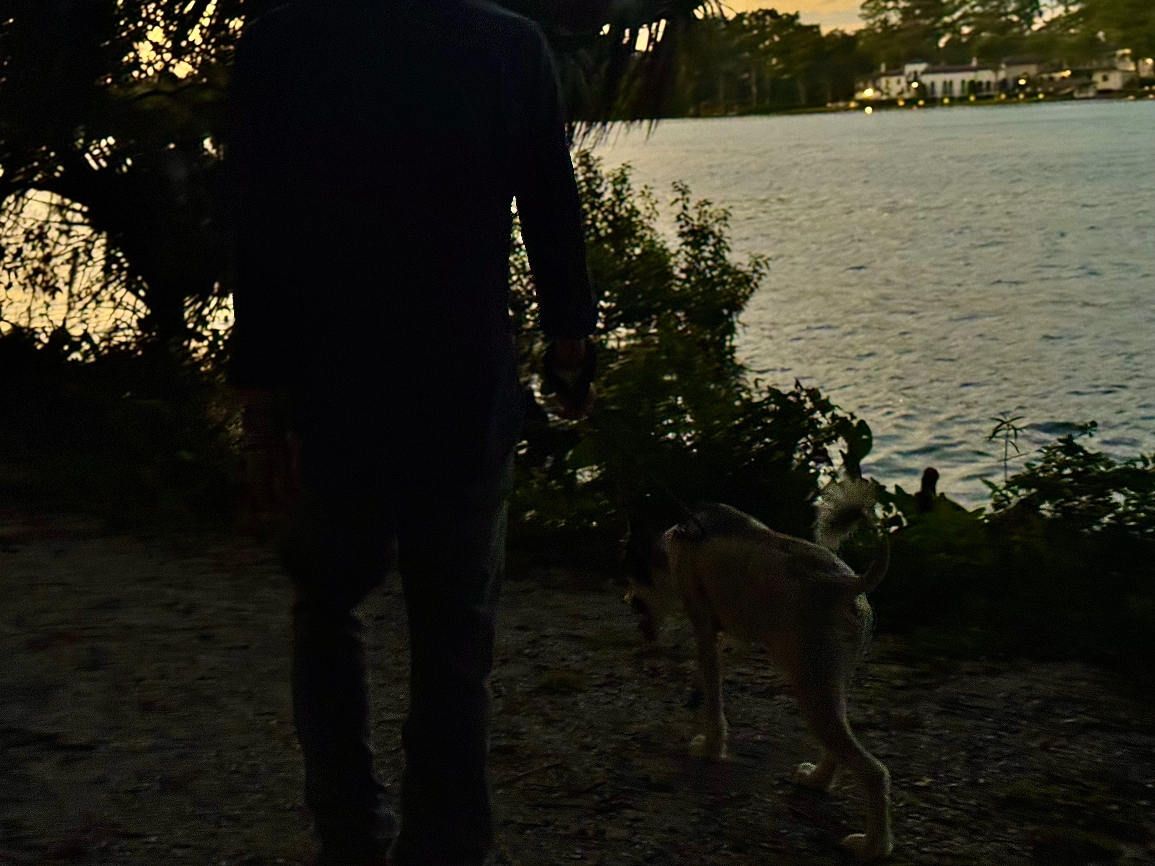 User-uploaded image 4