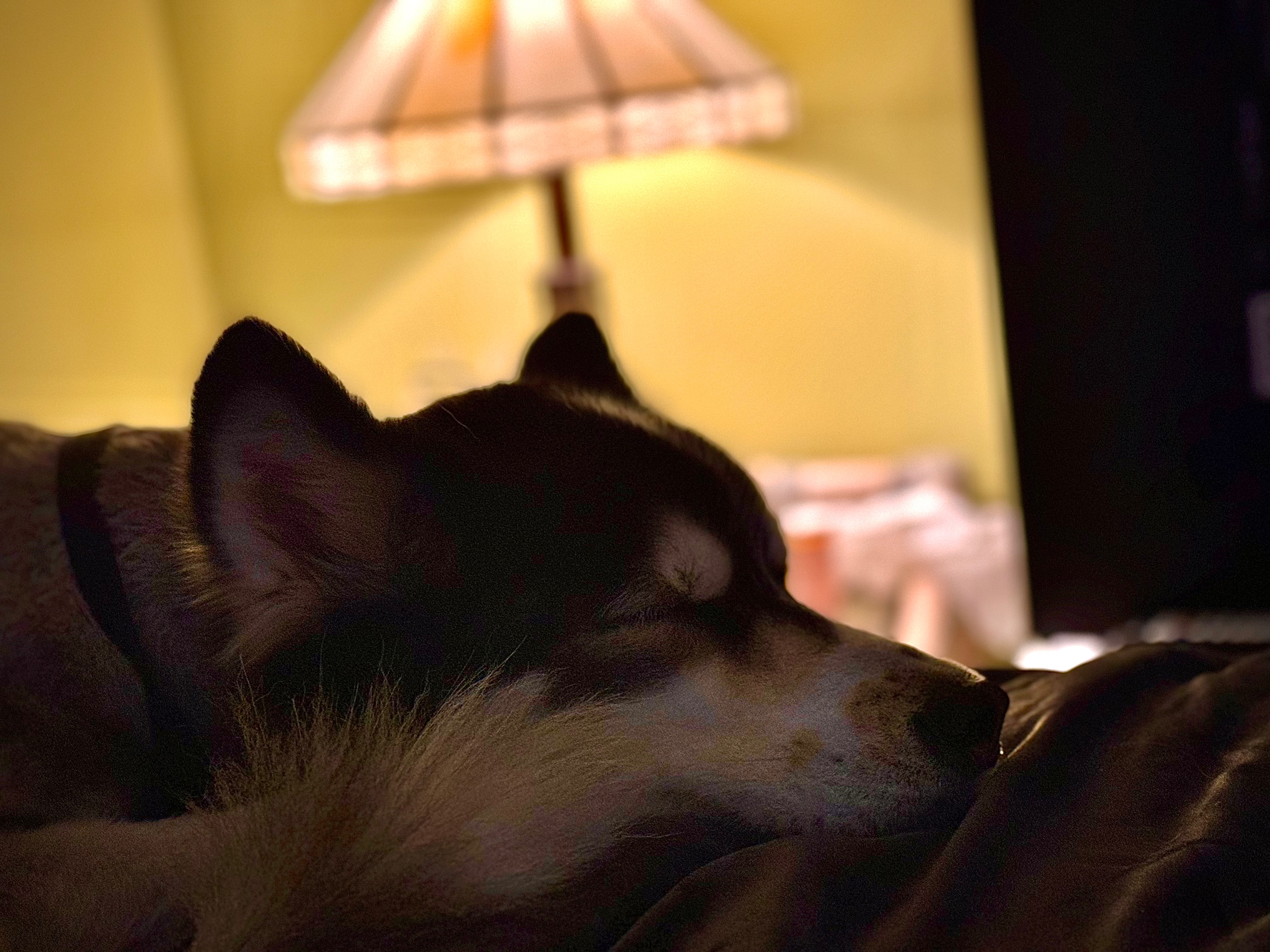 User-uploaded image 5