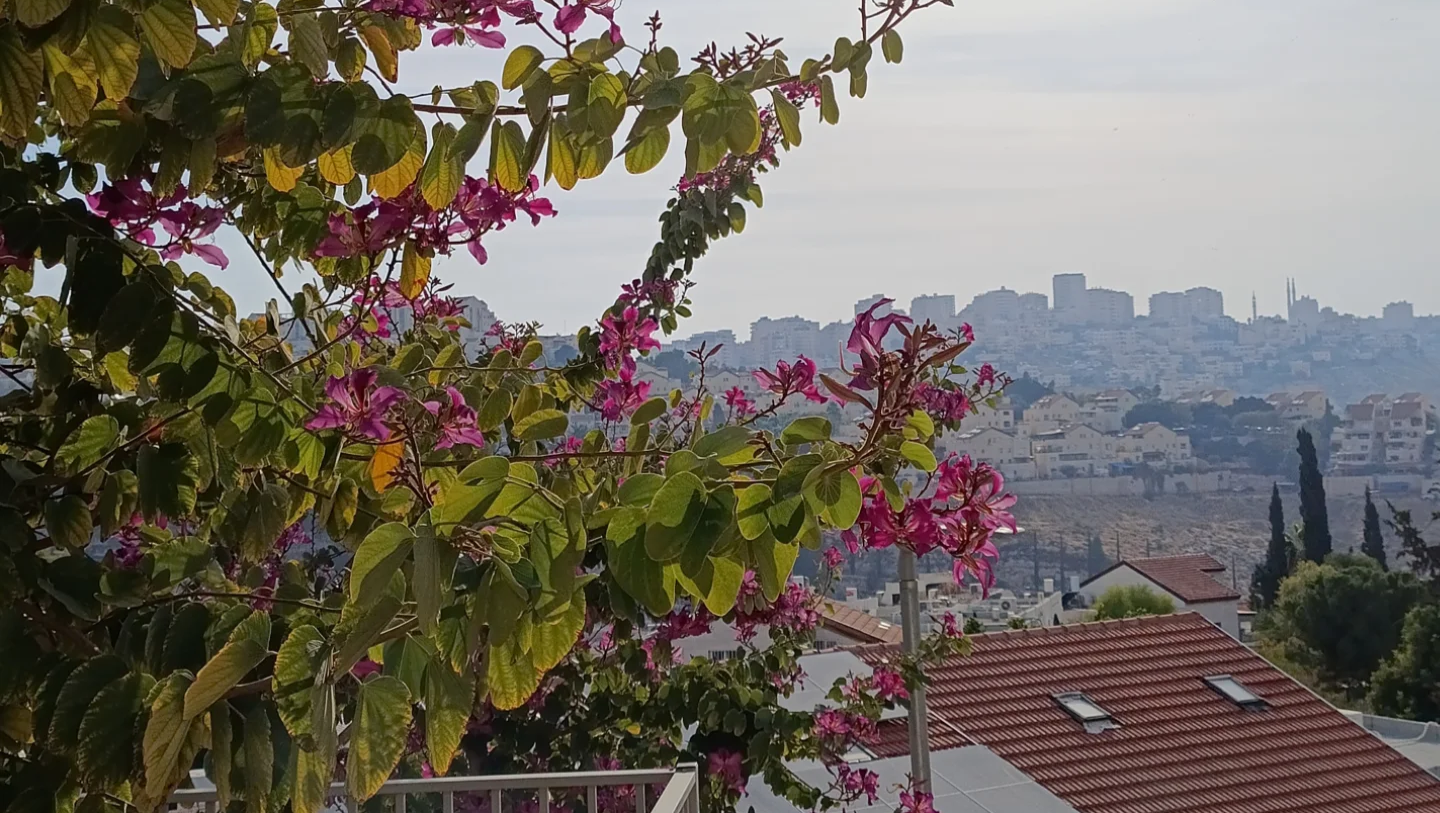 Help us build our dream home!!! photo