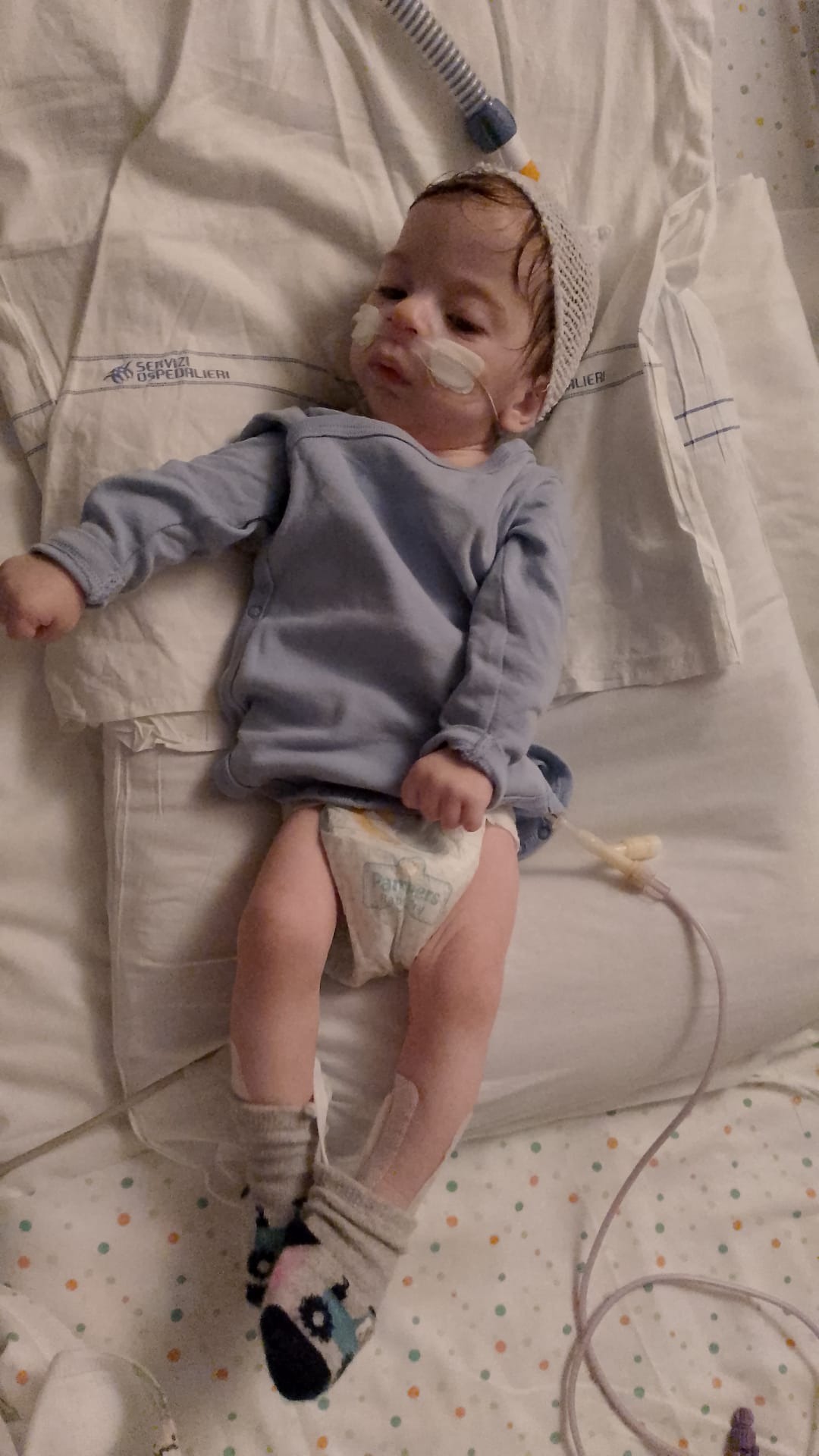 User-uploaded image 1