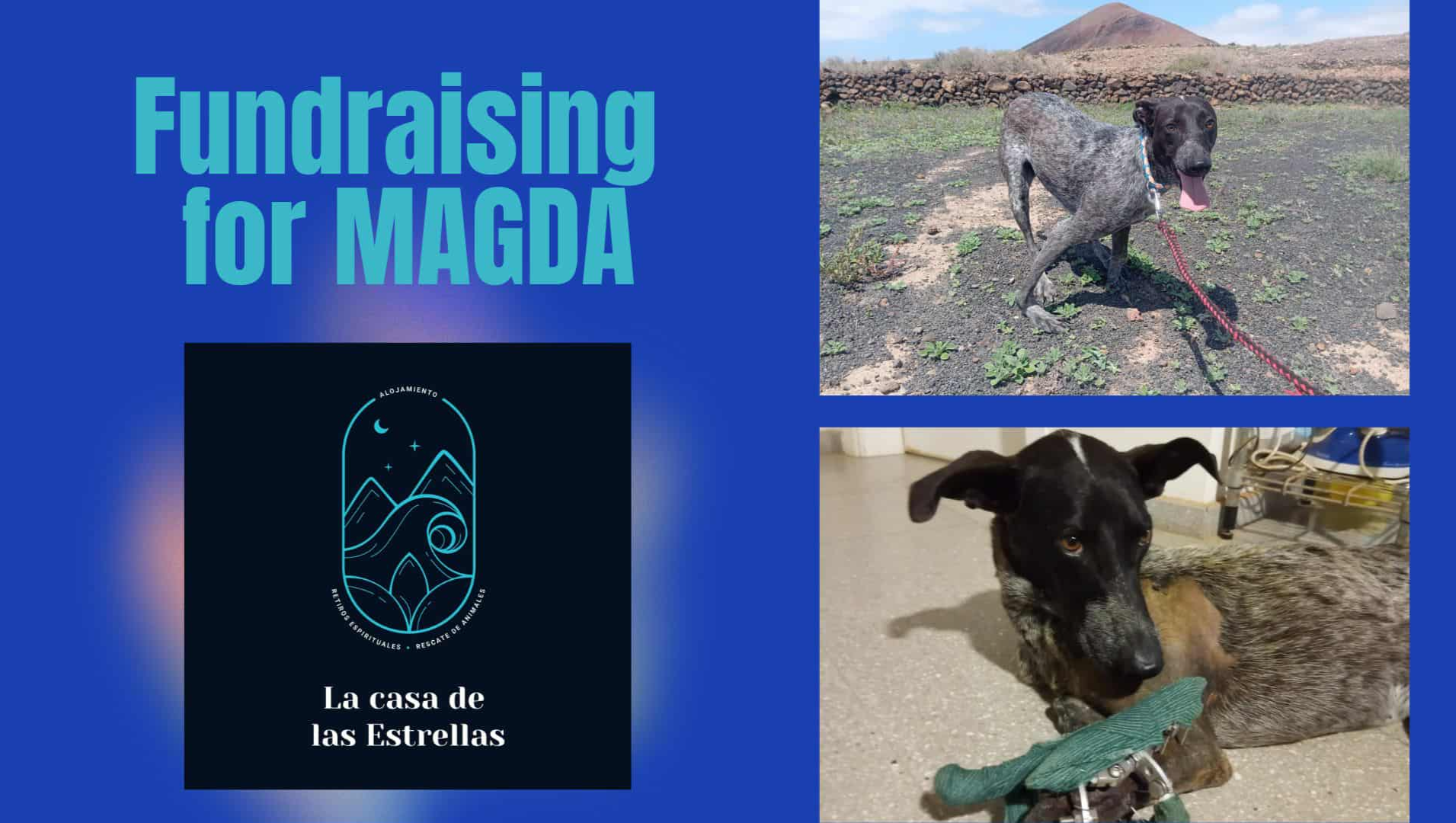 MAGDA  nos necesita - MAGDA needs us