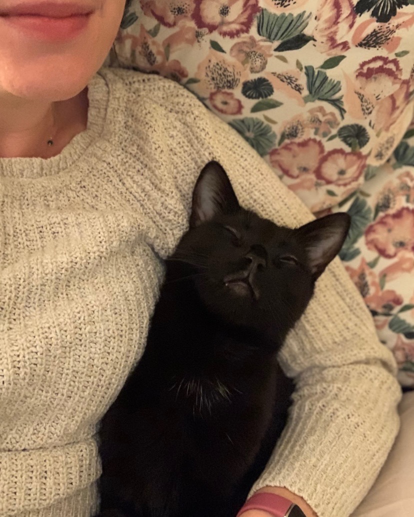 Support Bug's Urgent Vet Care Needs campaign photo, 4 of 8