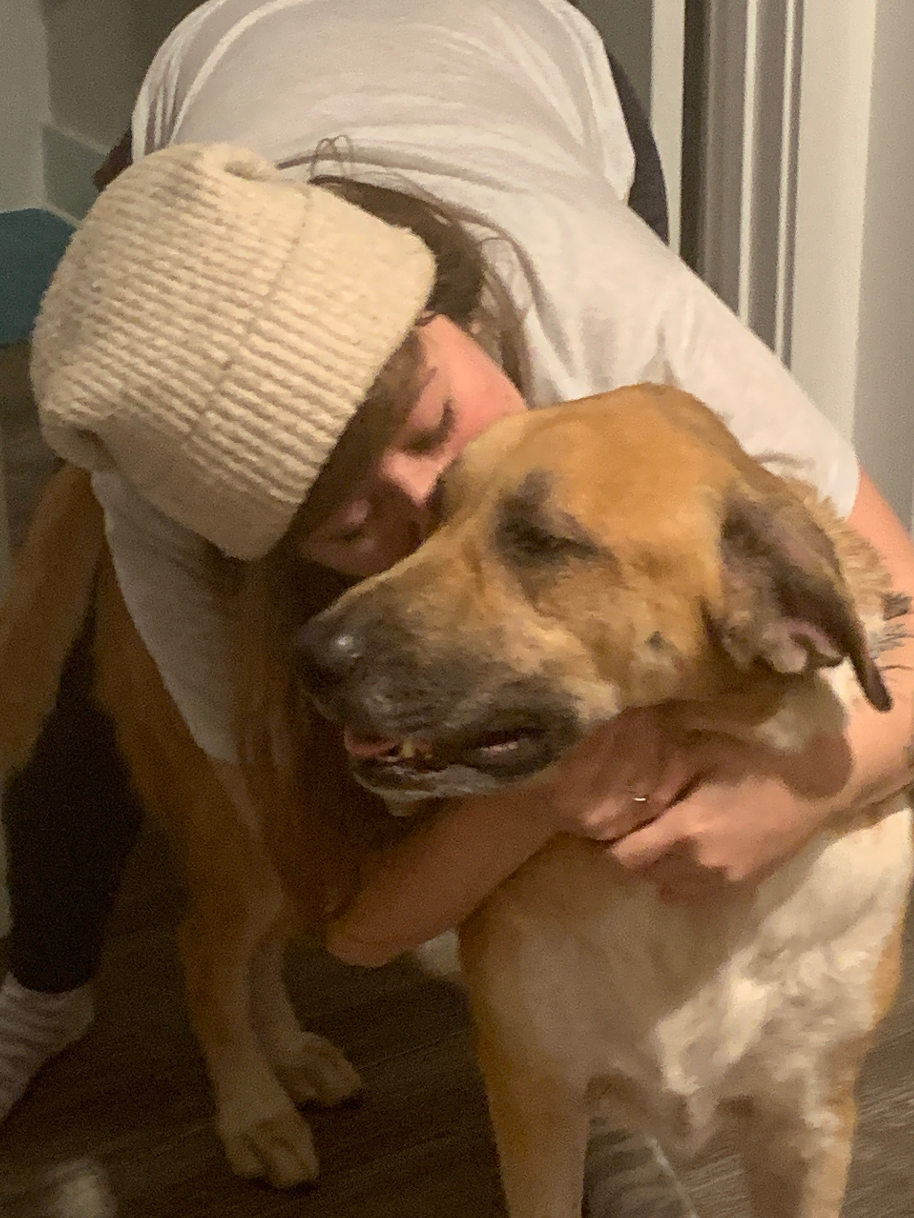 This is Belle. She has aggressive lymphoma. Please help! campaign photo, 2 of 8