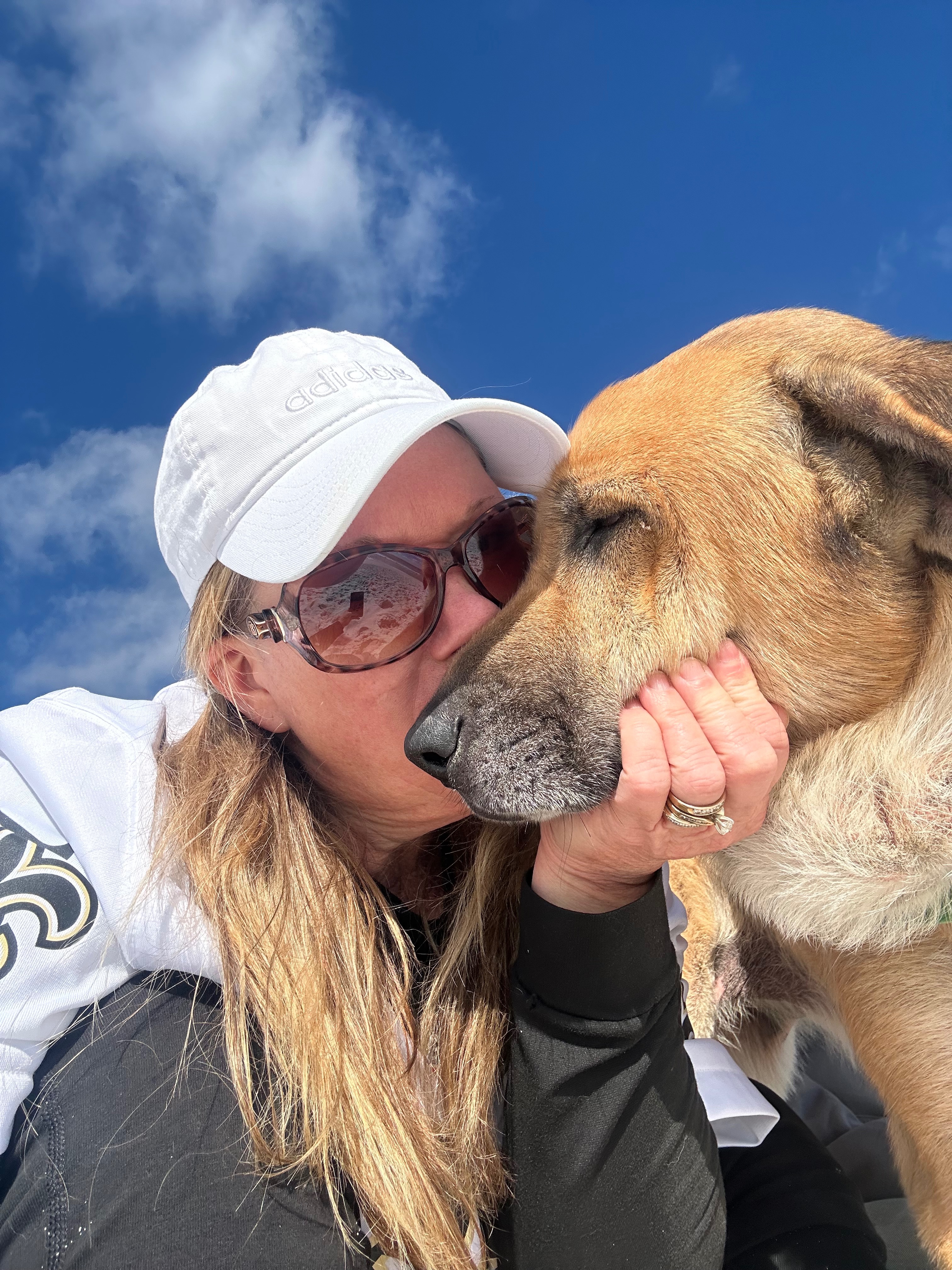 This is Belle. She has aggressive lymphoma. Please help! campaign photo, 5 of 8