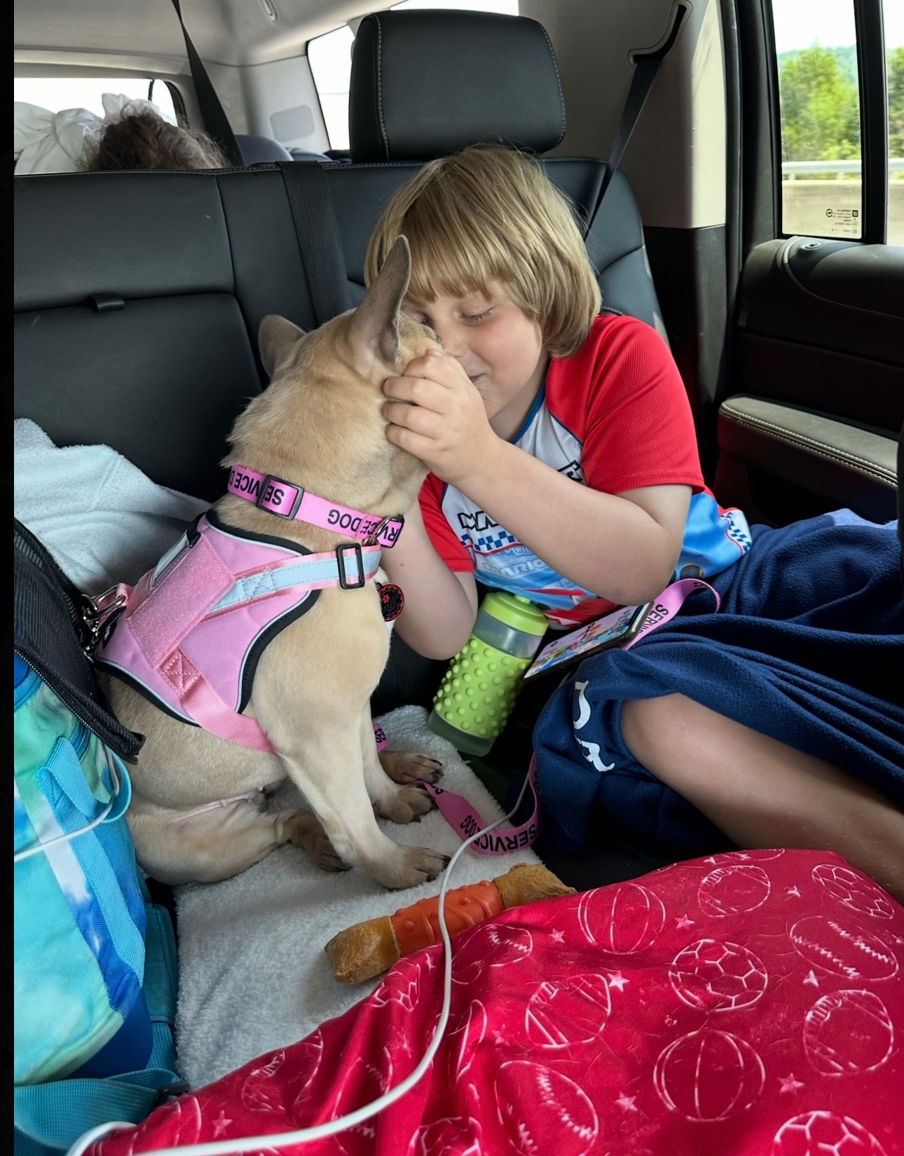 Help Save Payton — My Son’s Best Friend campaign photo, 5 of 8