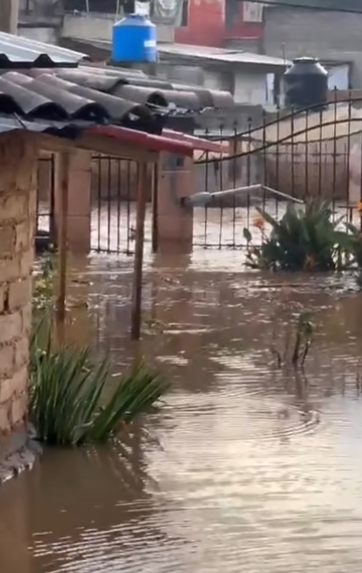 Help Family Rebuild After a Devastating Flood in Puebla. campaign photo, 4 of 8